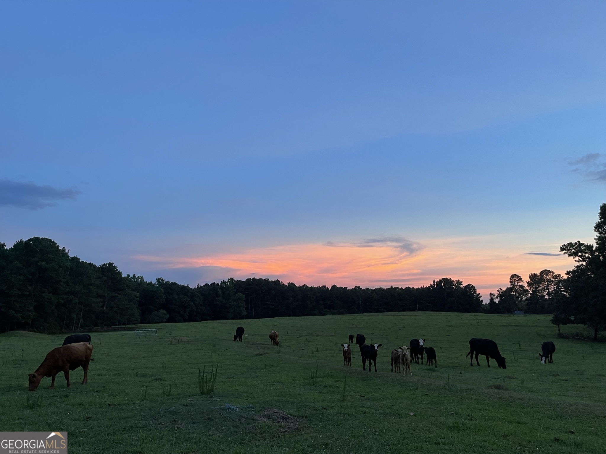1911 Ellis Road Hogansville, GA 30230 - Photo 47 of 49 a view of outdoor space and yard