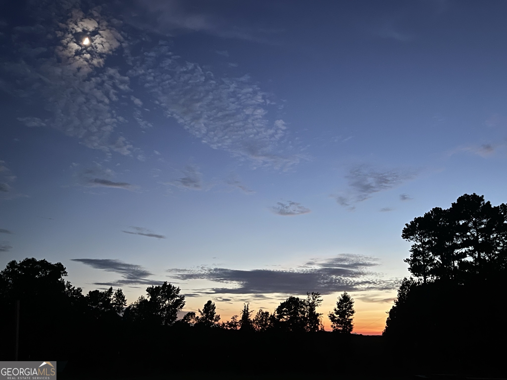 1911 Ellis Road Hogansville, GA 30230 - Photo 48 of 49 a view of an ocean