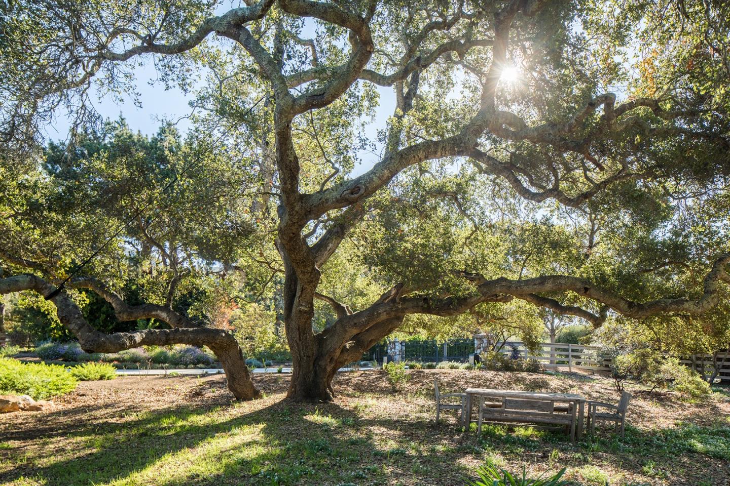 21 Miramonte Road Carmel Valley, CA 93924 - Photo 43 of 50 Gallery Image 43
