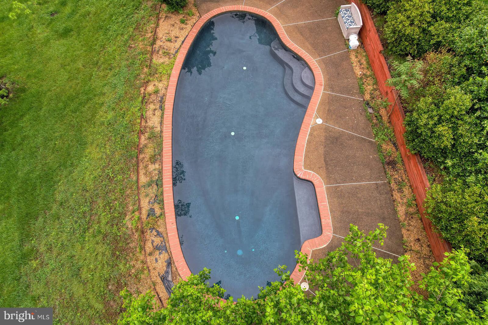 8579 Maidstone Road Delaplane, VA 20144 - Photo 54 of 58 Pool party!