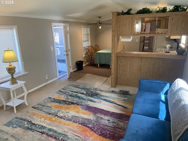 a living room with furniture and a rug