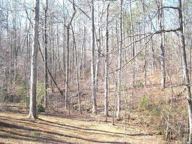 122 Stedwick Place Durham, NC 27712 - Photo 12 of 12 a view of a yard in front of a house