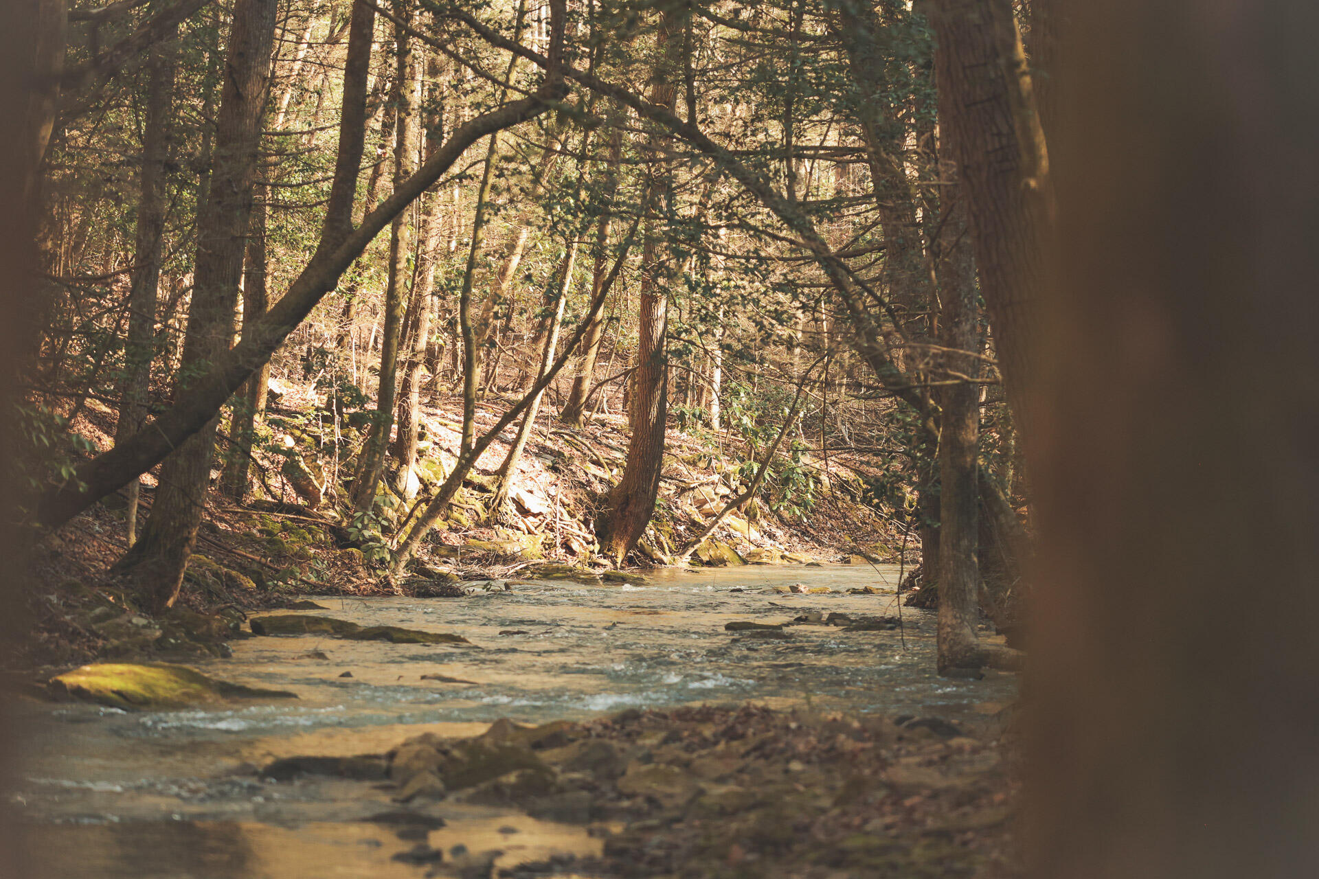 12733 Jones Gap Road Soddy Daisy, TN 37379 - Photo 1 of 108 1