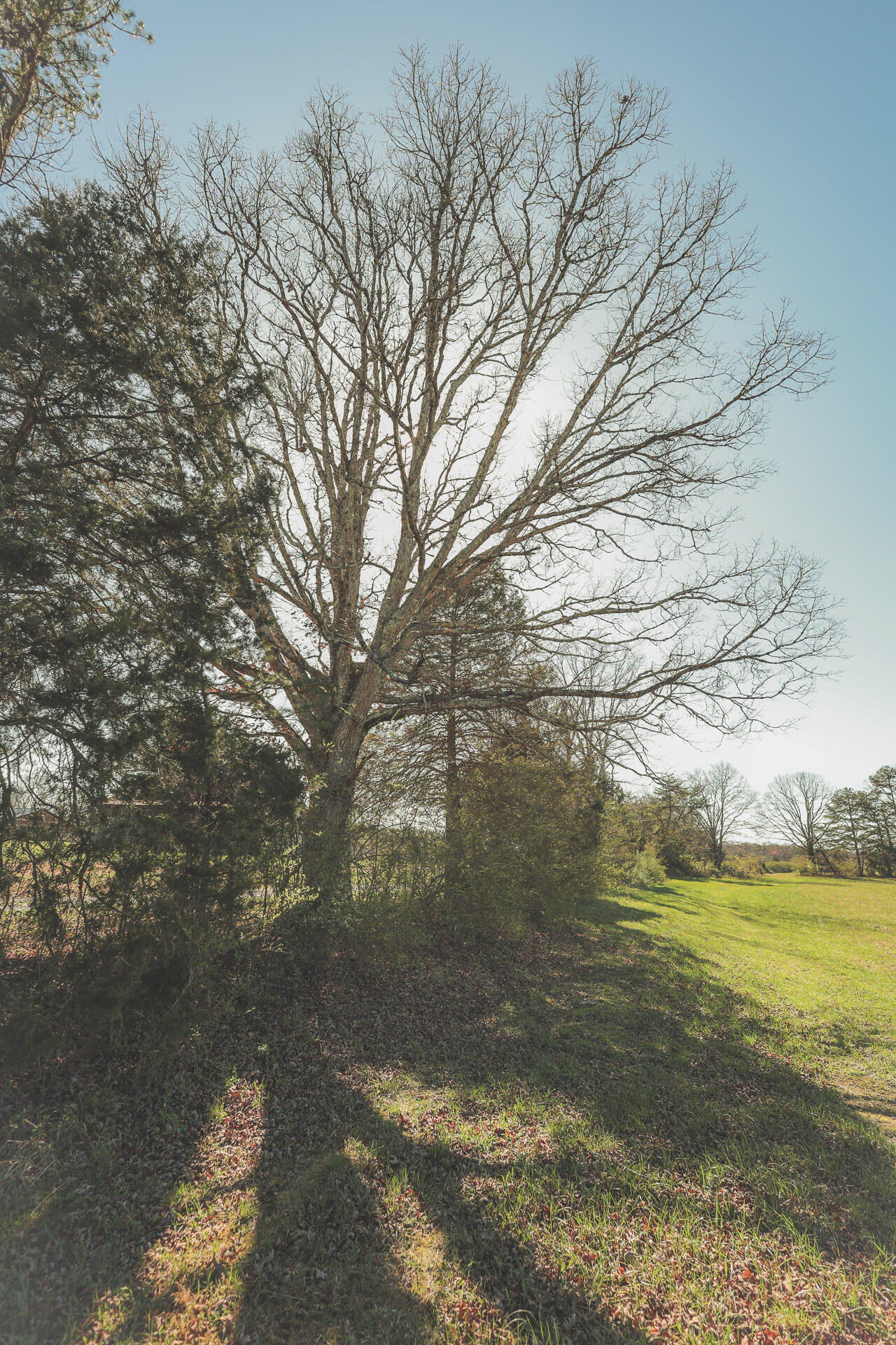 12733 Jones Gap Road Soddy Daisy, TN 37379 - Photo 101 of 108 Untitled-569