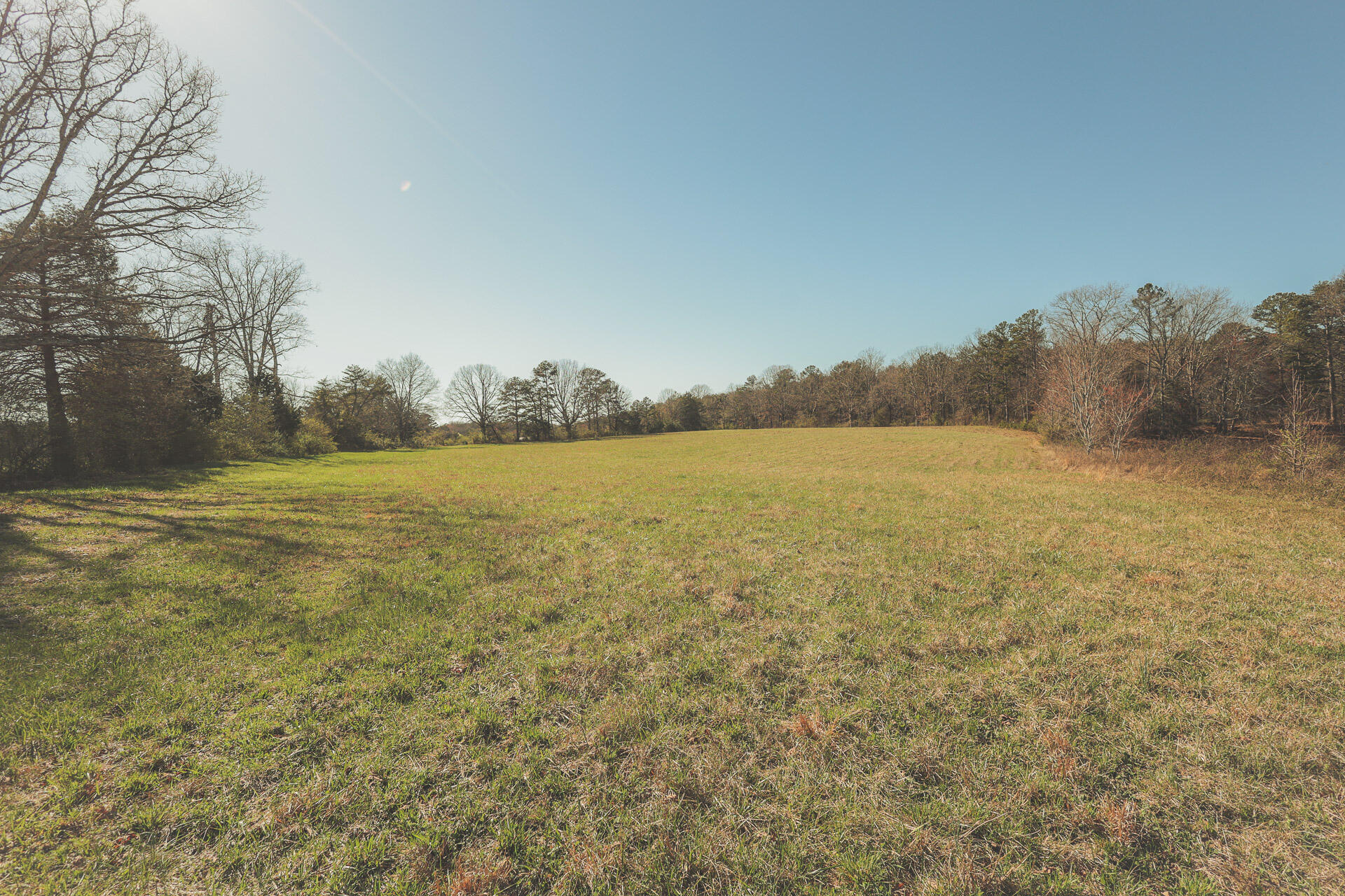 12733 Jones Gap Road Soddy Daisy, TN 37379 - Photo 102 of 108 Untitled-570
