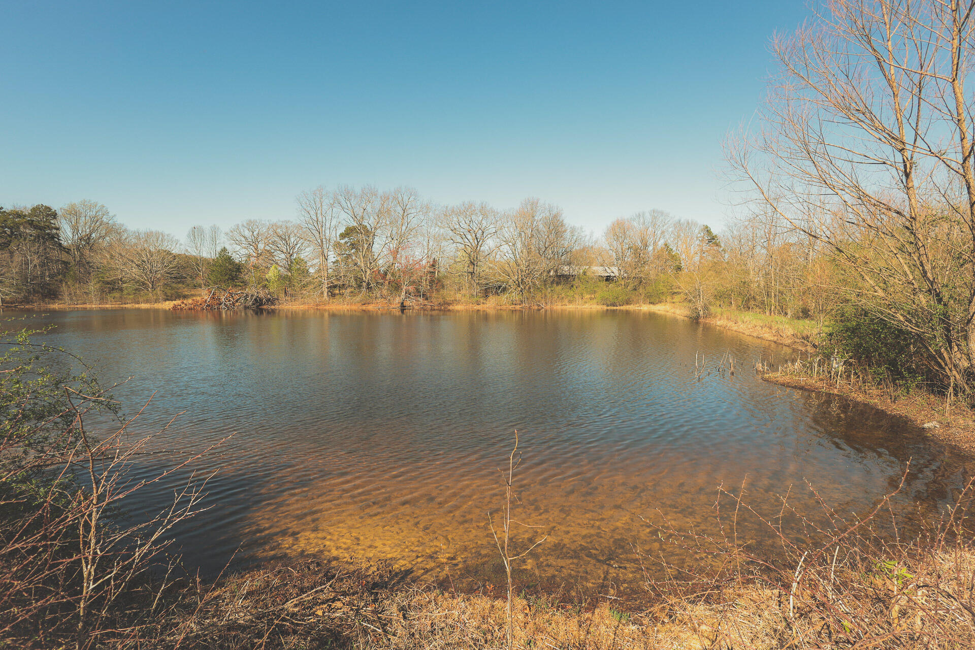 12733 Jones Gap Road Soddy Daisy, TN 37379 - Photo 103 of 108 Untitled-571
