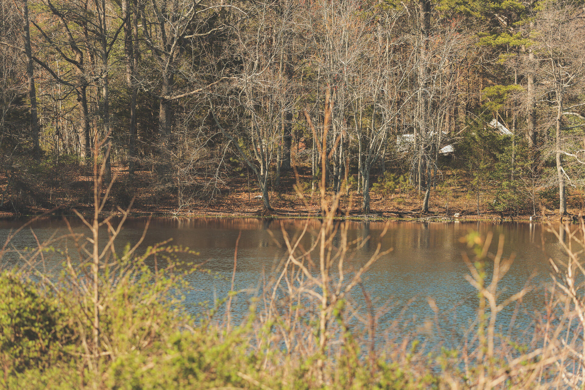 12733 Jones Gap Road Soddy Daisy, TN 37379 - Photo 104 of 108 Untitled-572