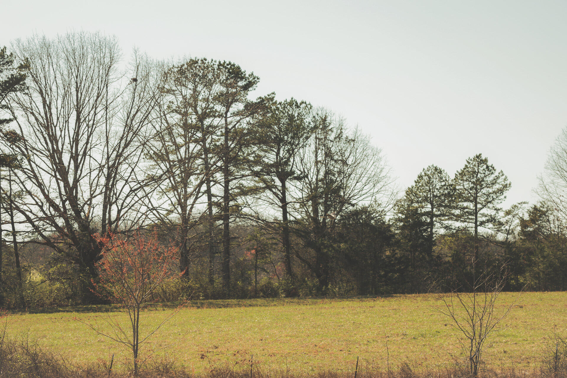 12733 Jones Gap Road Soddy Daisy, TN 37379 - Photo 106 of 108 Untitled-574