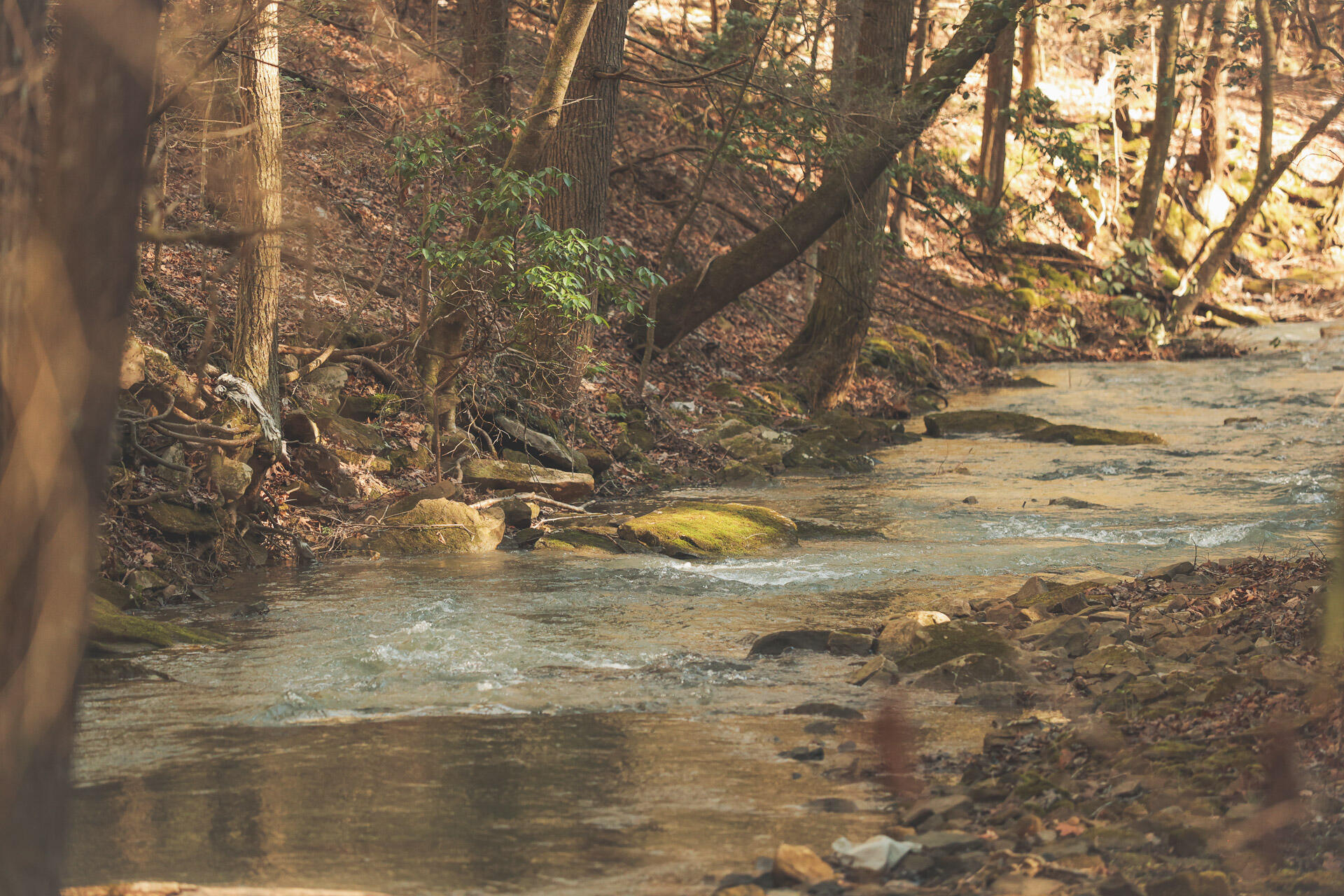 12733 Jones Gap Road Soddy Daisy, TN 37379 - Photo 12 of 108 7c