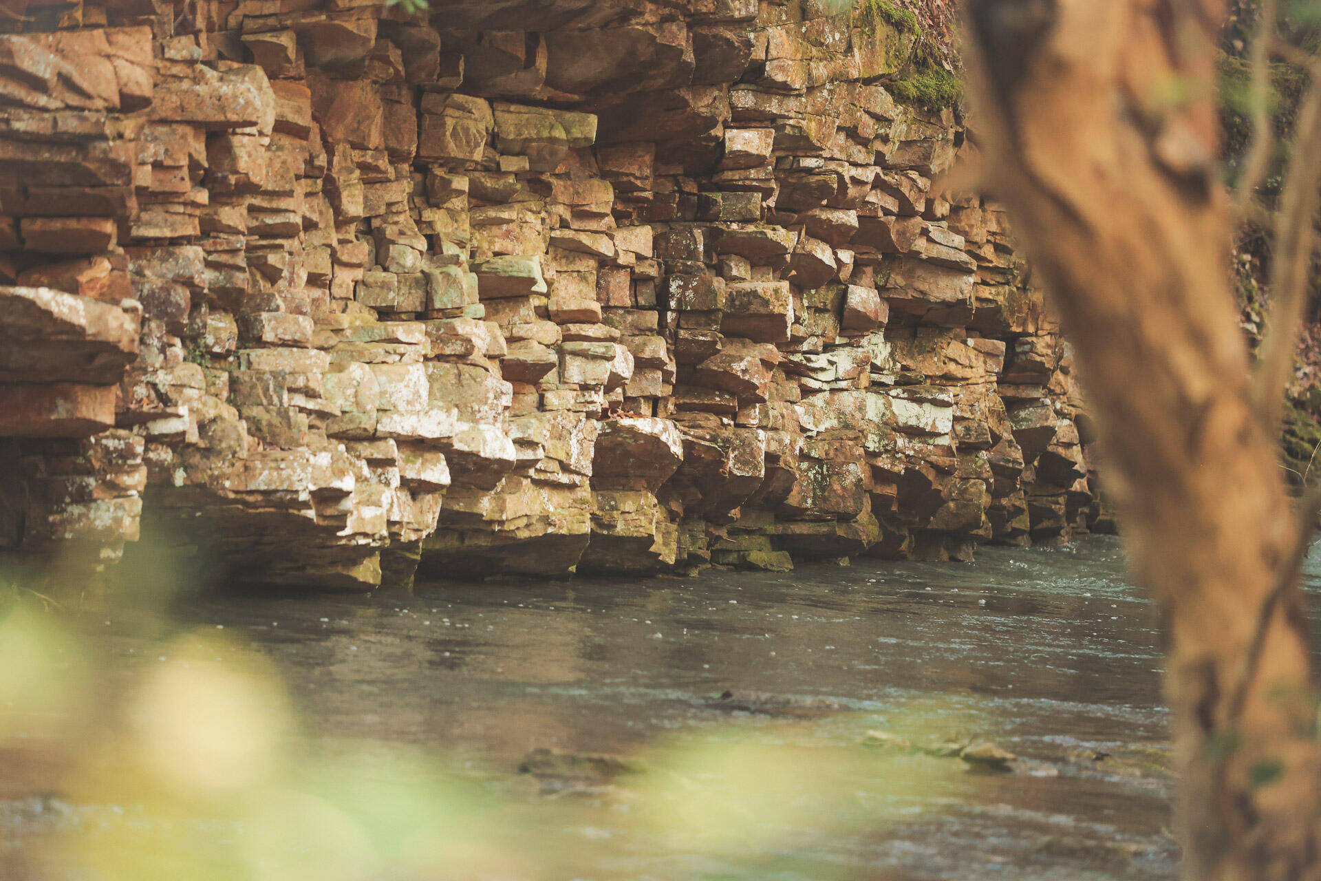 12733 Jones Gap Road Soddy Daisy, TN 37379 - Photo 13 of 108 7d