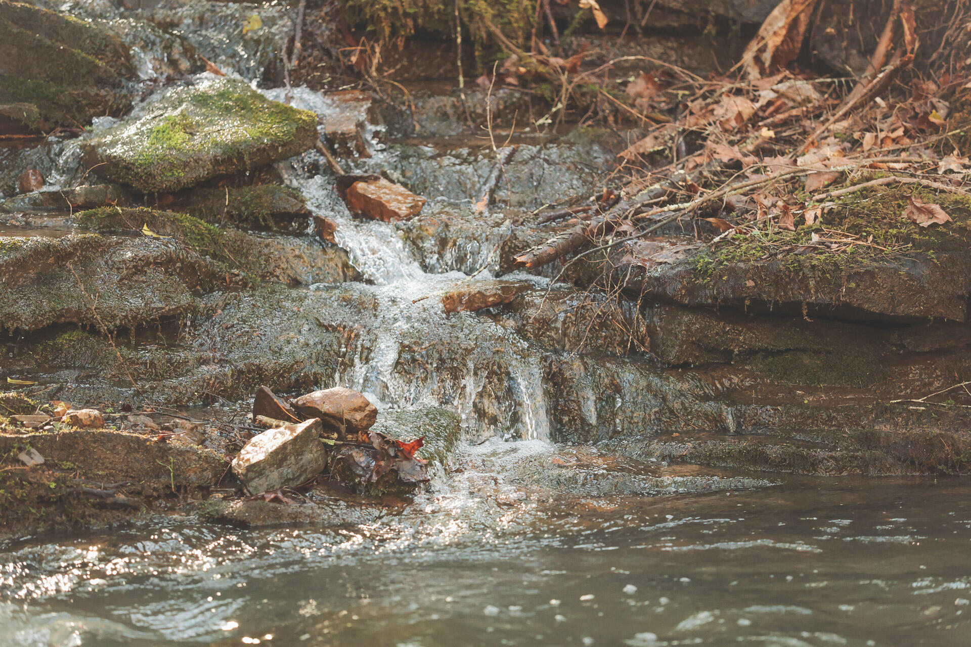 12733 Jones Gap Road Soddy Daisy, TN 37379 - Photo 14 of 108 7e