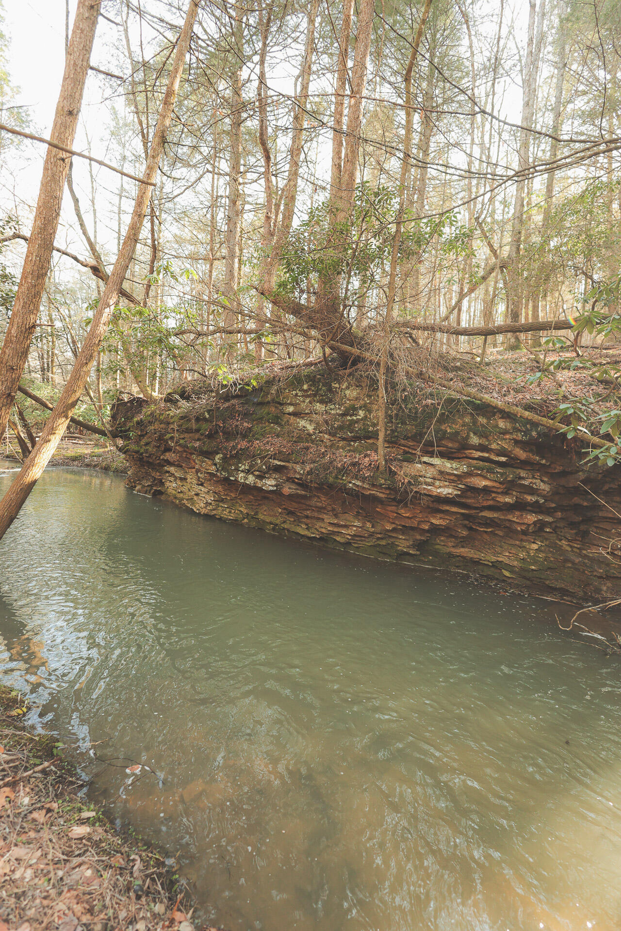 12733 Jones Gap Road Soddy Daisy, TN 37379 - Photo 15 of 108 7f