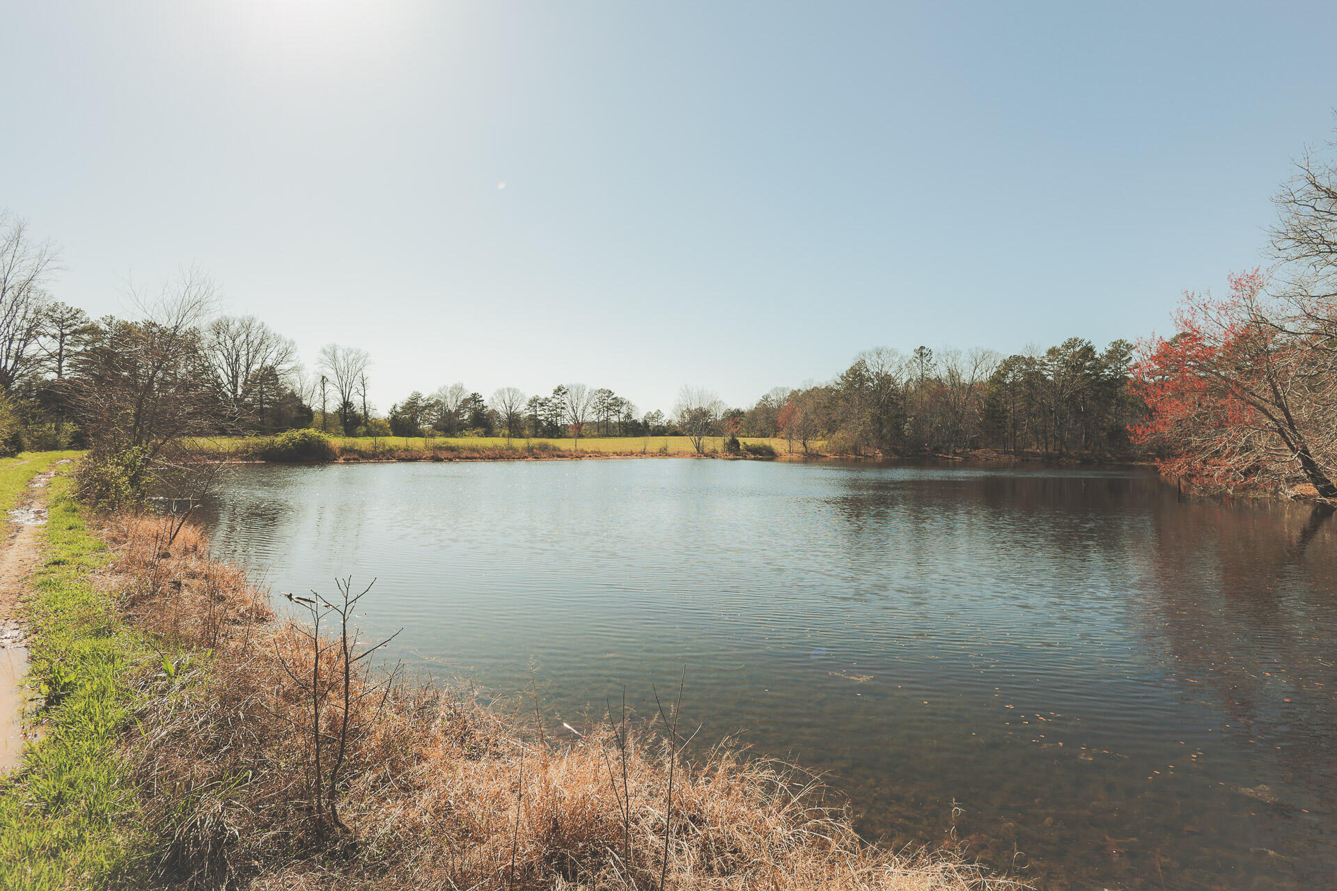 12733 Jones Gap Road Soddy Daisy, TN 37379 - Photo 17 of 108 8b