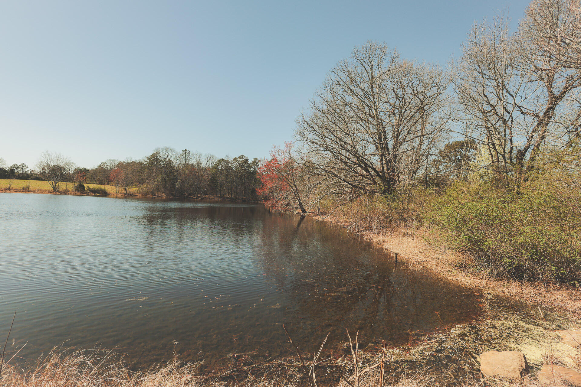 12733 Jones Gap Road Soddy Daisy, TN 37379 - Photo 18 of 108 8c