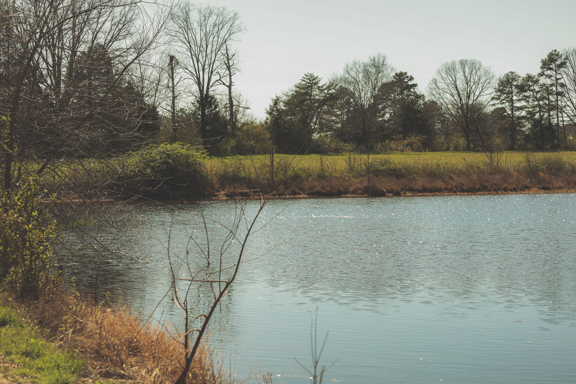 12733 Jones Gap Road Soddy Daisy, TN 37379 - Photo 19 of 108 8d