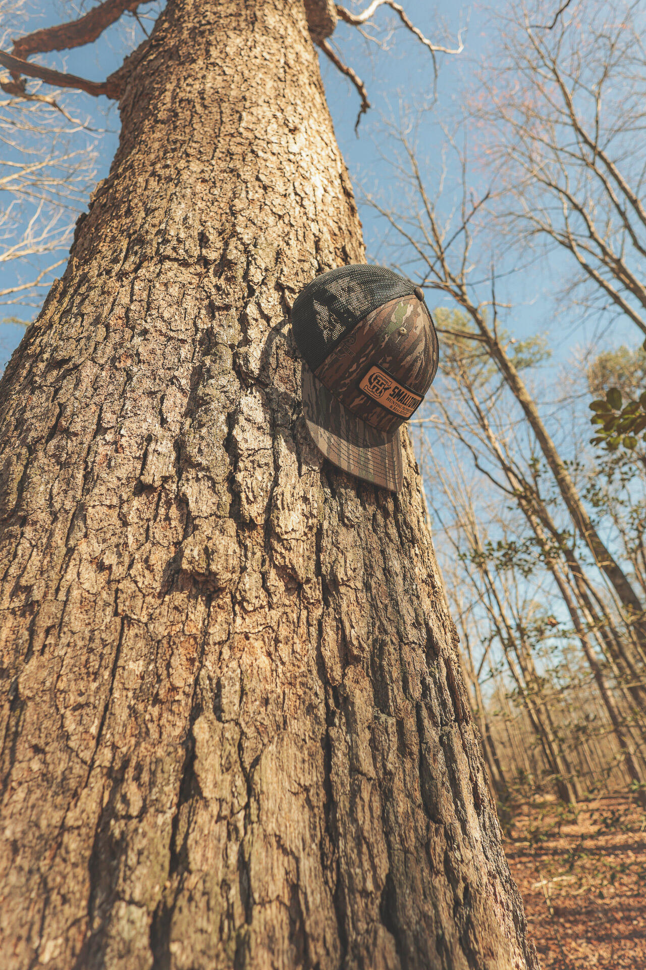 12733 Jones Gap Road Soddy Daisy, TN 37379 - Photo 21 of 108 9a