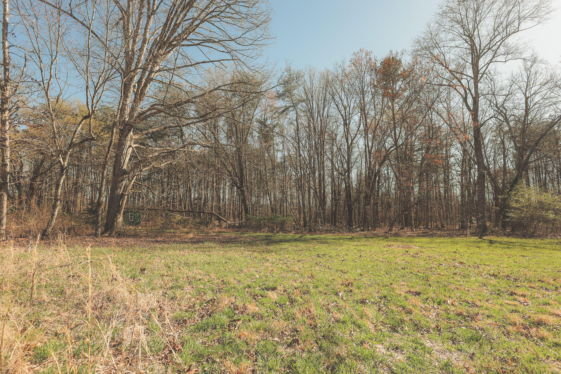 12733 Jones Gap Road Soddy Daisy, TN 37379 - Photo 22 of 108 10