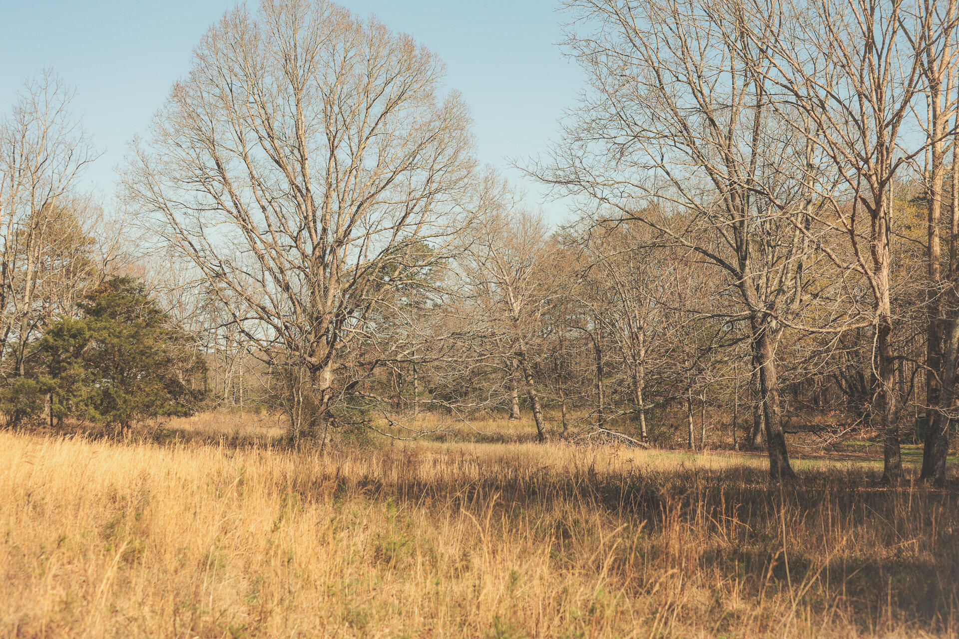 12733 Jones Gap Road Soddy Daisy, TN 37379 - Photo 24 of 108 12