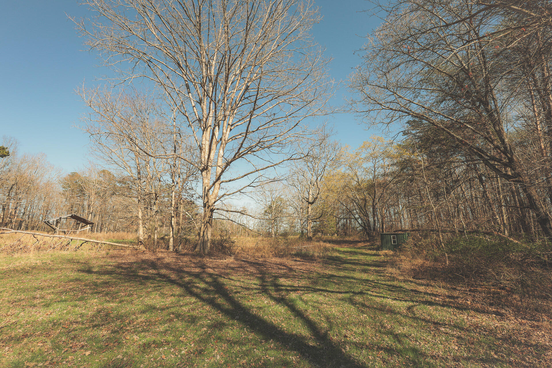 12733 Jones Gap Road Soddy Daisy, TN 37379 - Photo 25 of 108 13