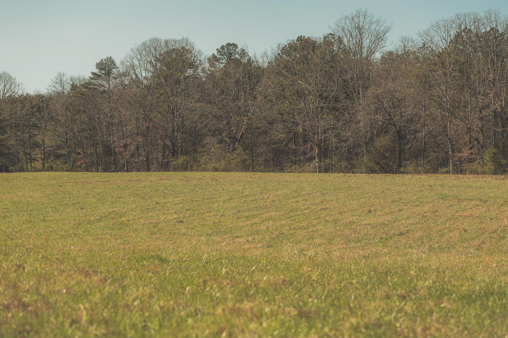 12733 Jones Gap Road Soddy Daisy, TN 37379 - Photo 27 of 108 15