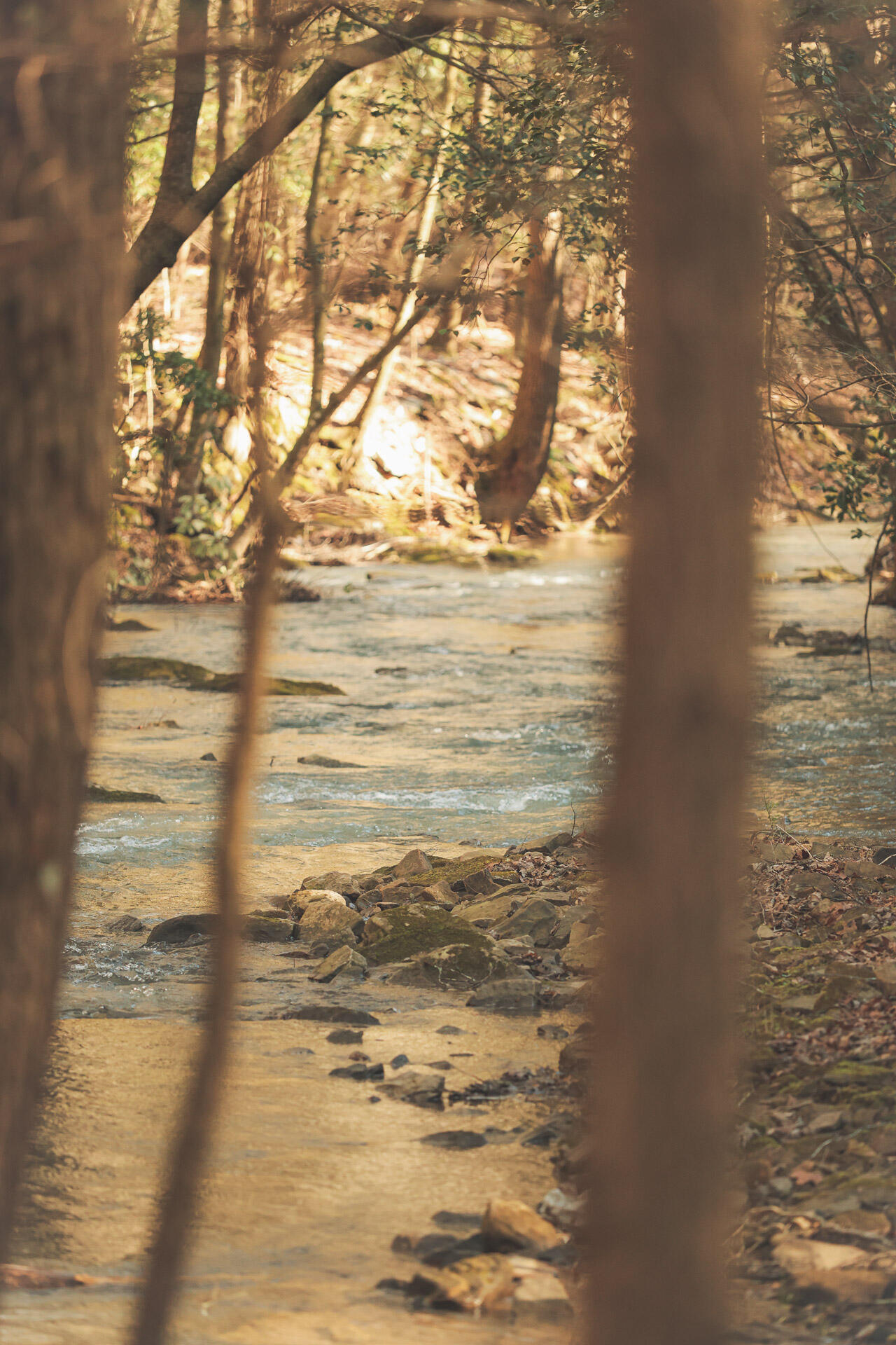 12733 Jones Gap Road Soddy Daisy, TN 37379 - Photo 38 of 108 27