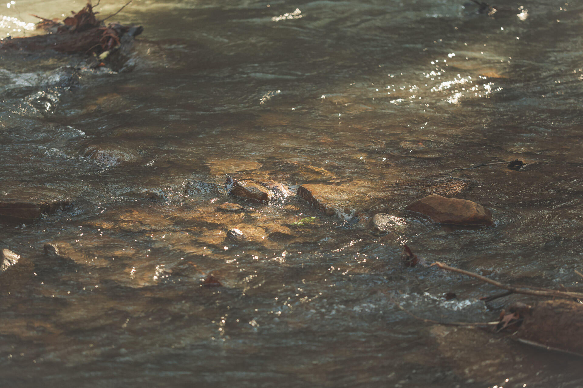 12733 Jones Gap Road Soddy Daisy, TN 37379 - Photo 39 of 108 28