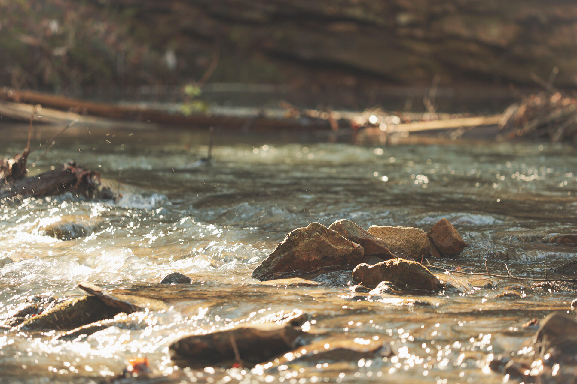 12733 Jones Gap Road Soddy Daisy, TN 37379 - Photo 40 of 108 29