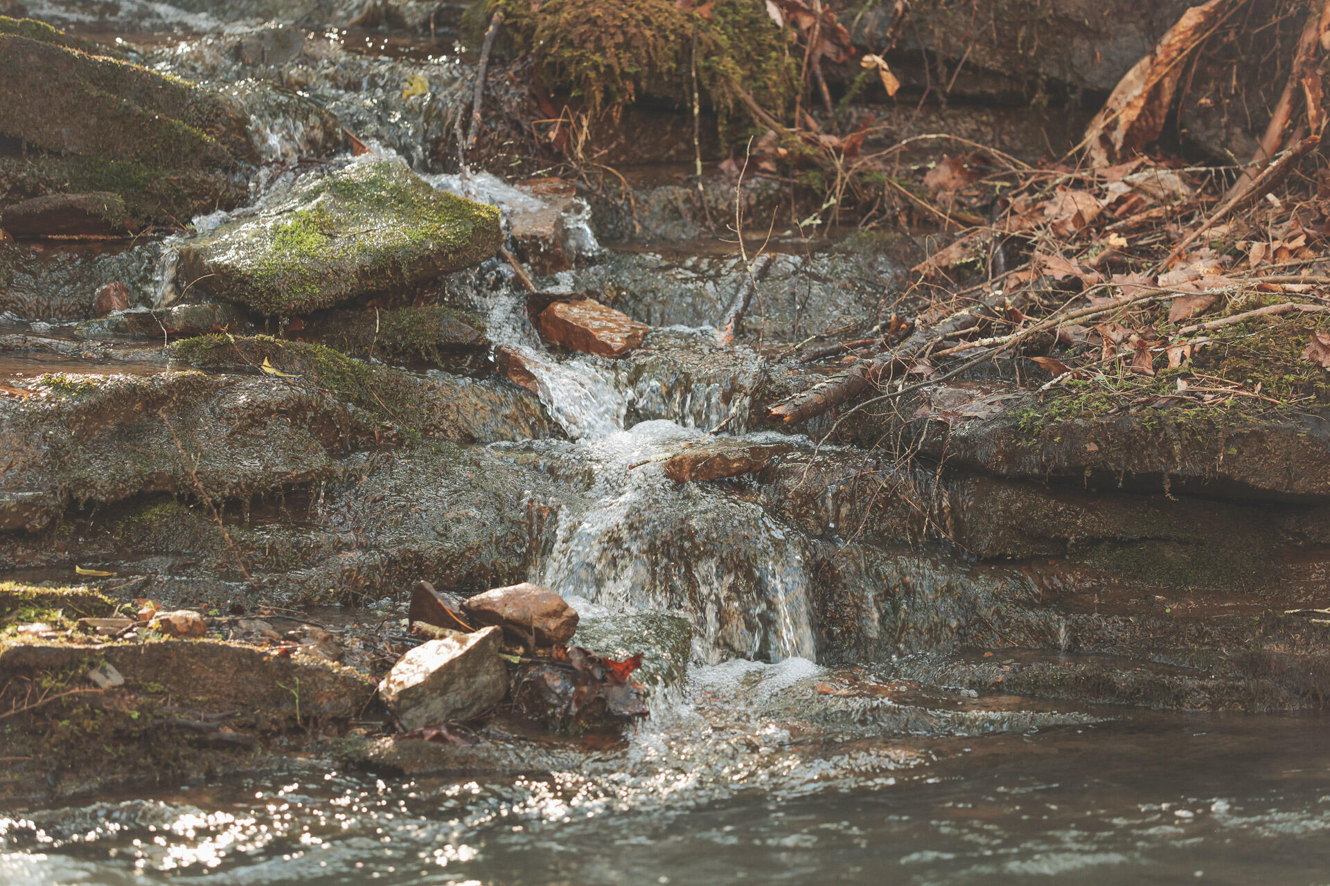 12733 Jones Gap Road Soddy Daisy, TN 37379 - Photo 42 of 108 31