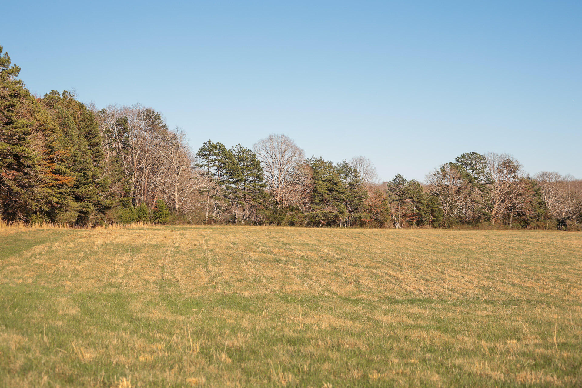 12733 Jones Gap Road Soddy Daisy, TN 37379 - Photo 43 of 108 32