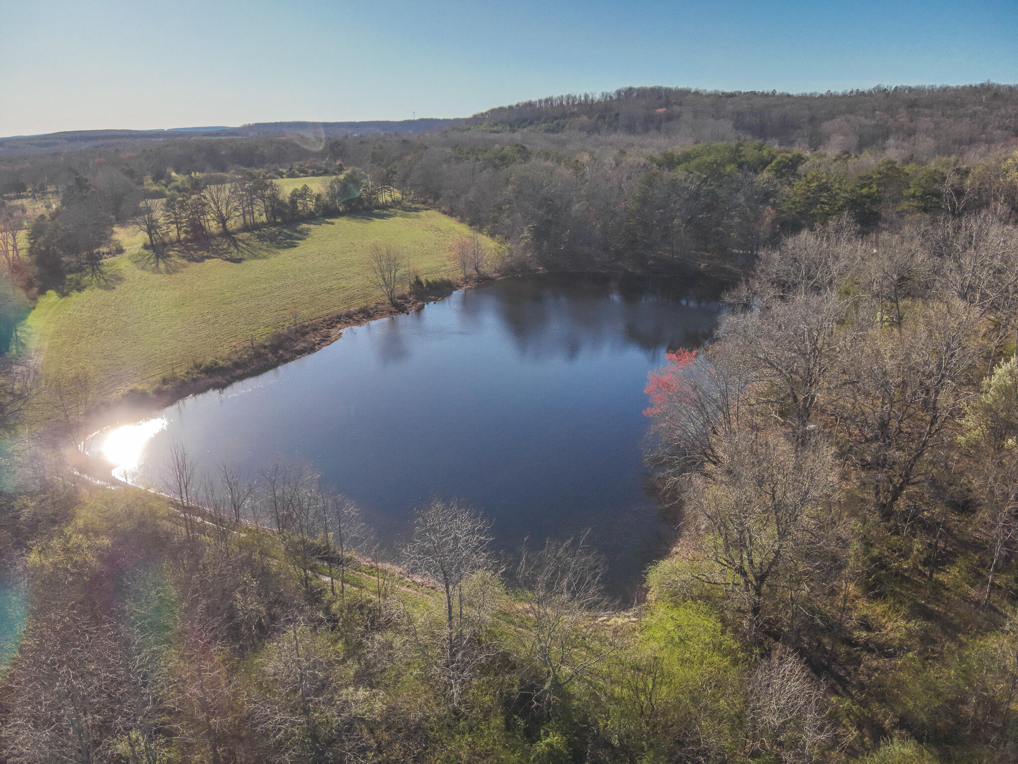 12733 Jones Gap Road Soddy Daisy, TN 37379 - Photo 53 of 108 DJI_20260312180645_0008_V
