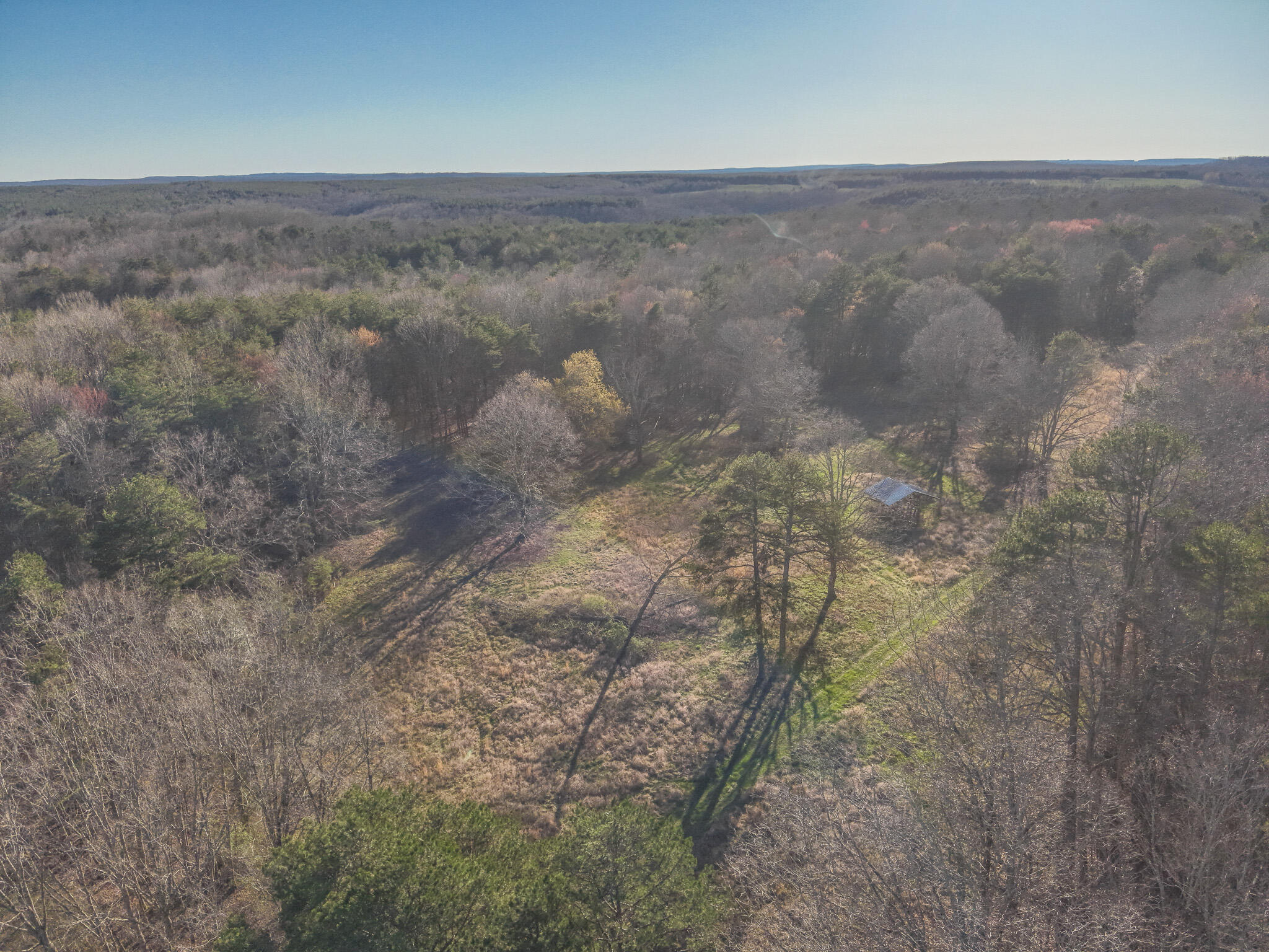 12733 Jones Gap Road Soddy Daisy, TN 37379 - Photo 54 of 108 DJI_20260312180923_0020_V