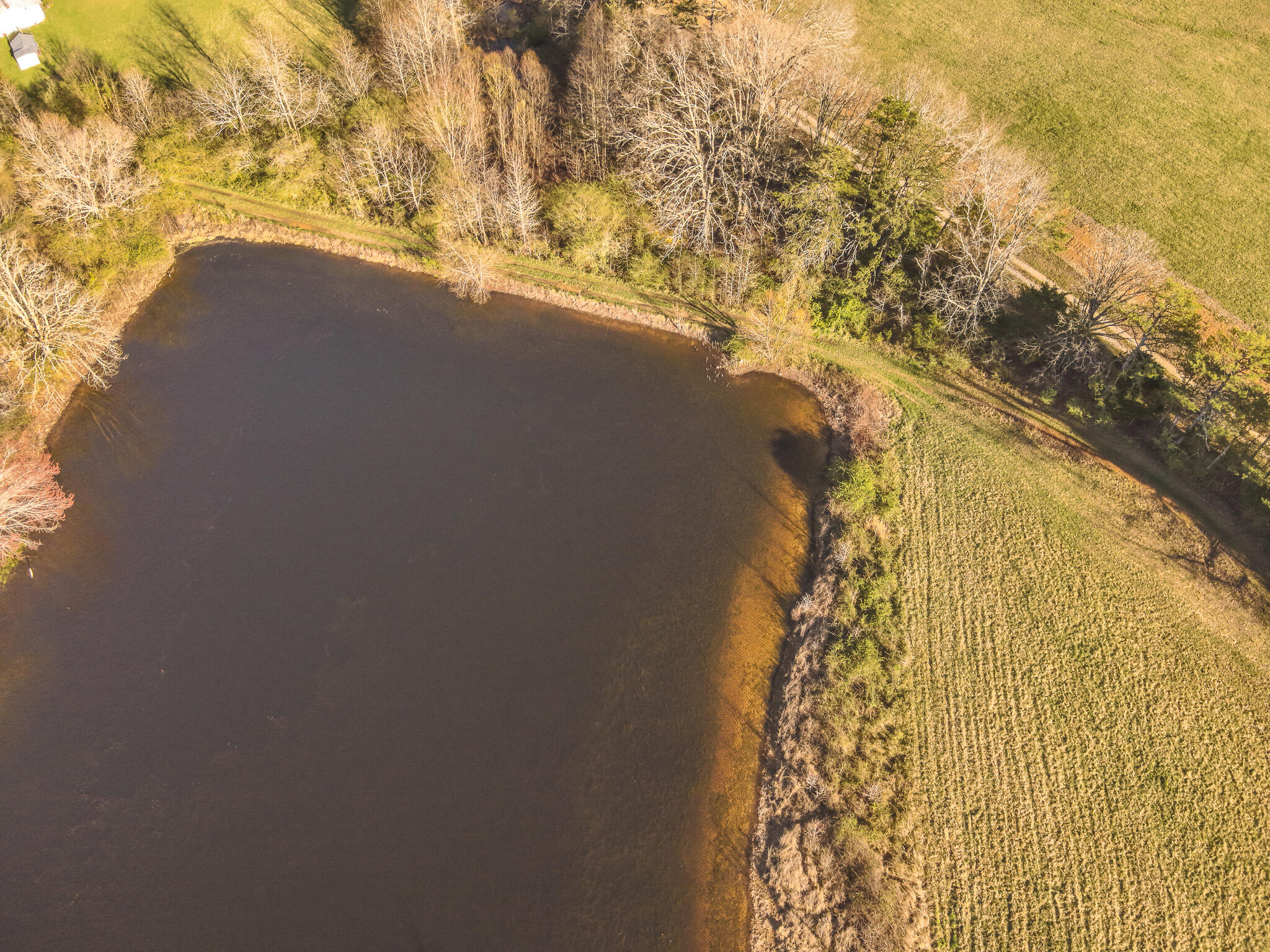 12733 Jones Gap Road Soddy Daisy, TN 37379 - Photo 61 of 108 DJI_20260312181459_0042_V