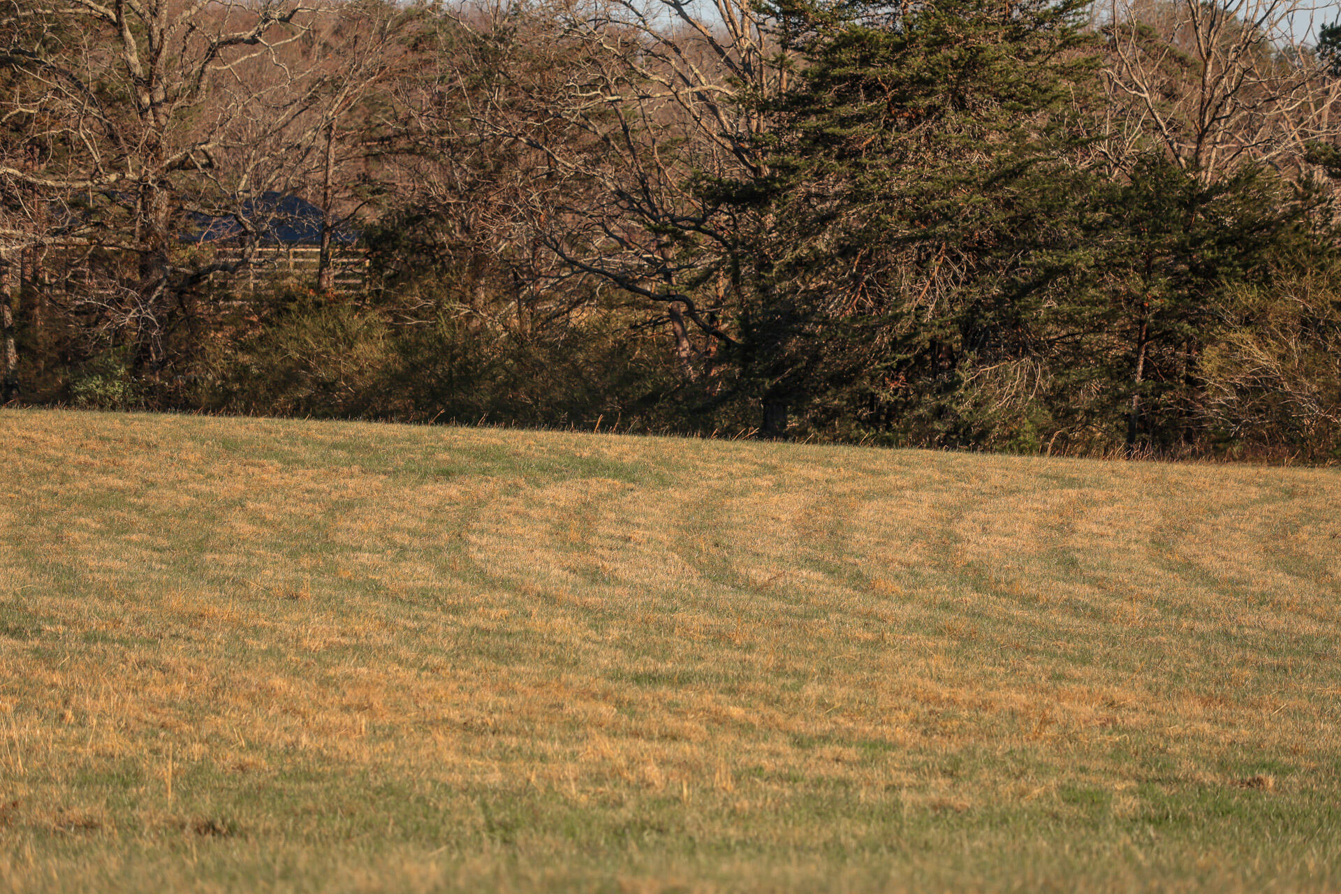 12733 Jones Gap Road Soddy Daisy, TN 37379 - Photo 62 of 108 Untitled-501