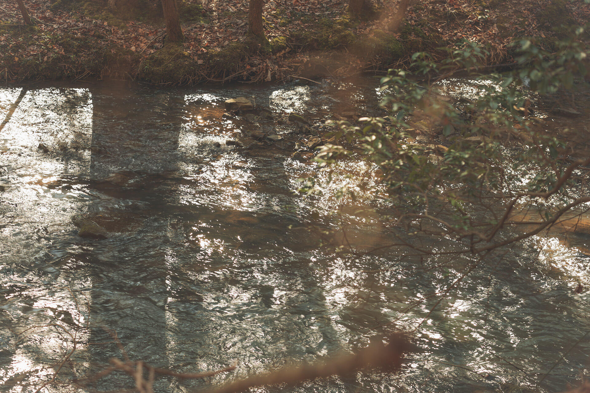 12733 Jones Gap Road Soddy Daisy, TN 37379 - Photo 69 of 108 Untitled-520