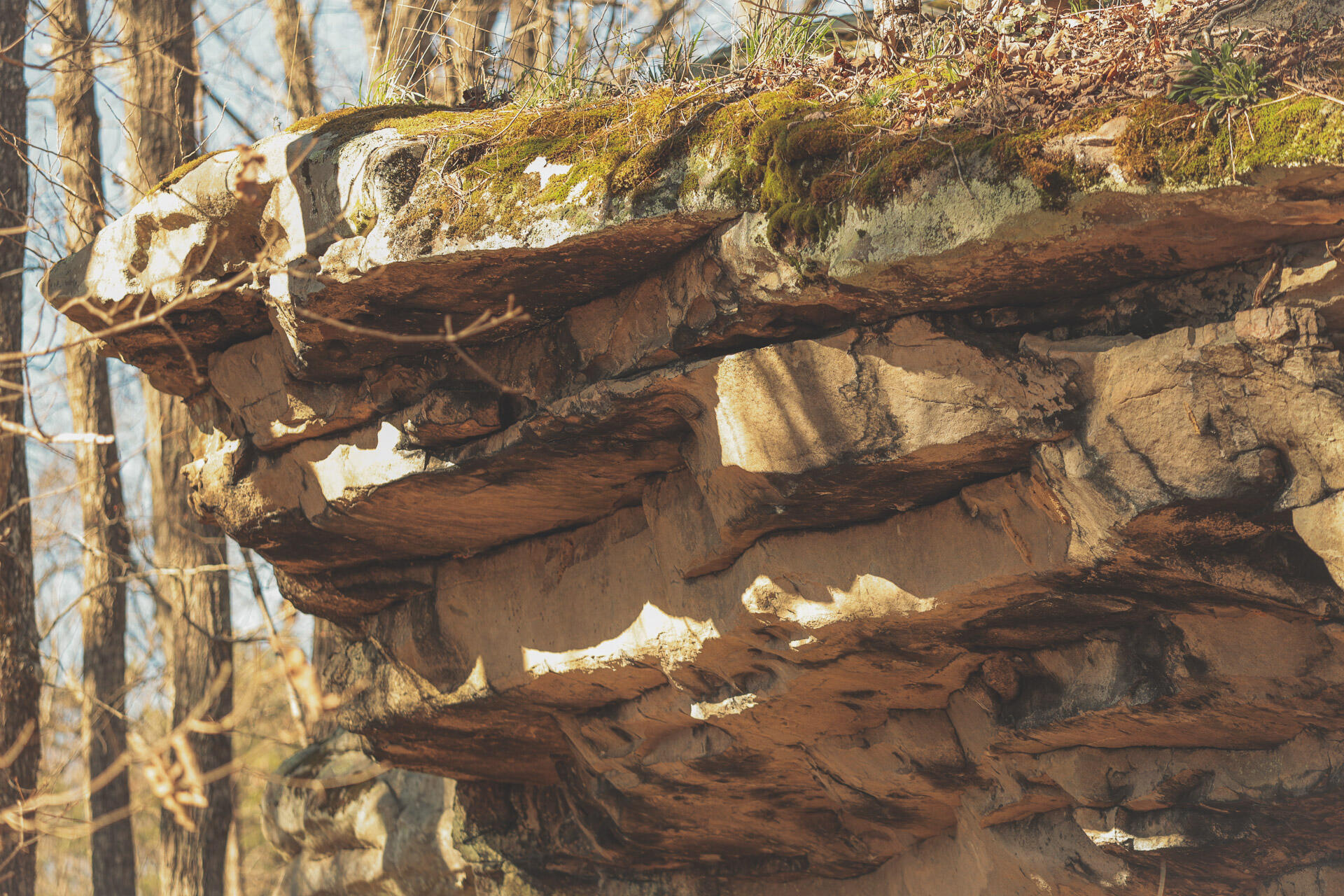 12733 Jones Gap Road Soddy Daisy, TN 37379 - Photo 70 of 108 Untitled-524