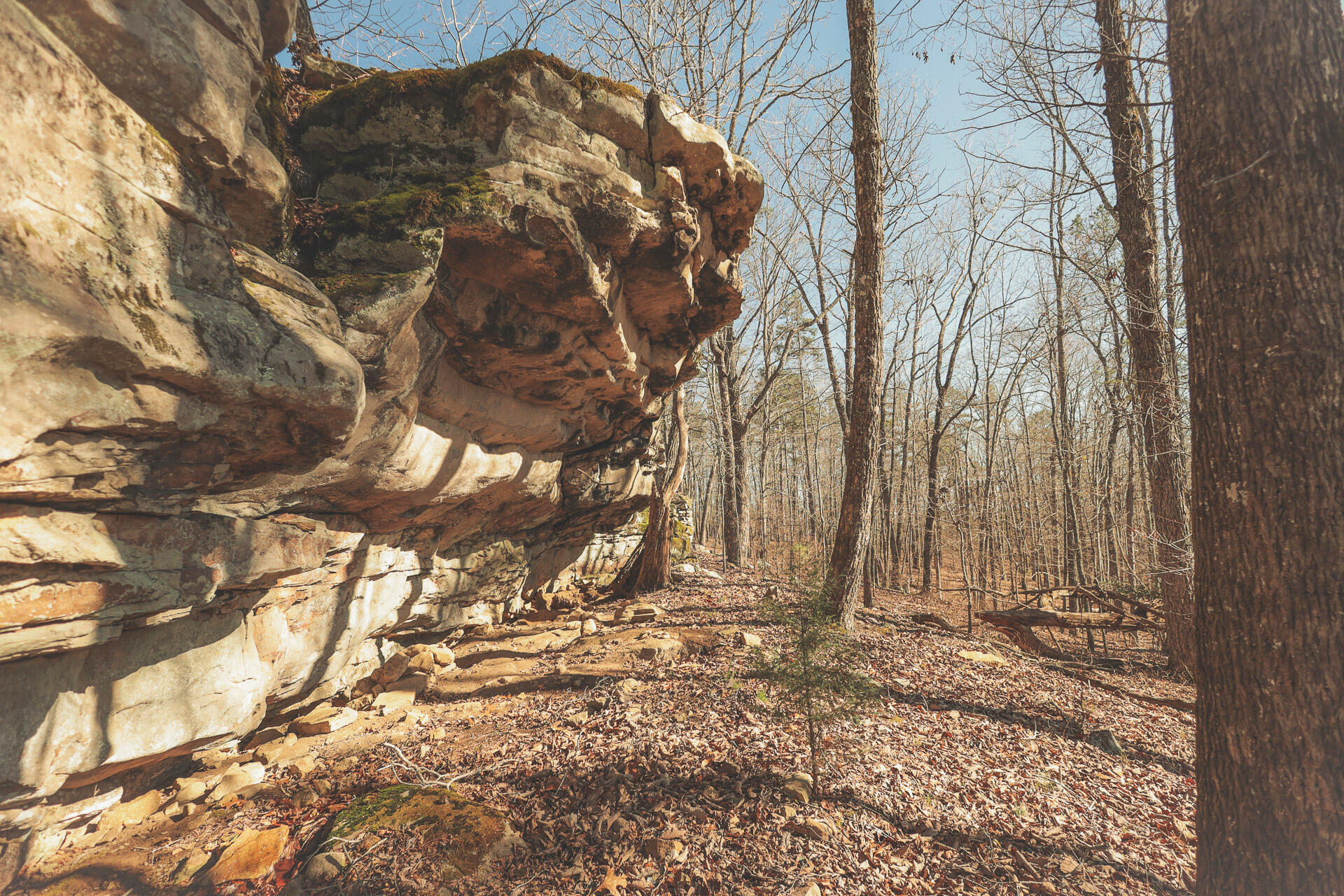 12733 Jones Gap Road Soddy Daisy, TN 37379 - Photo 7 of 108 5