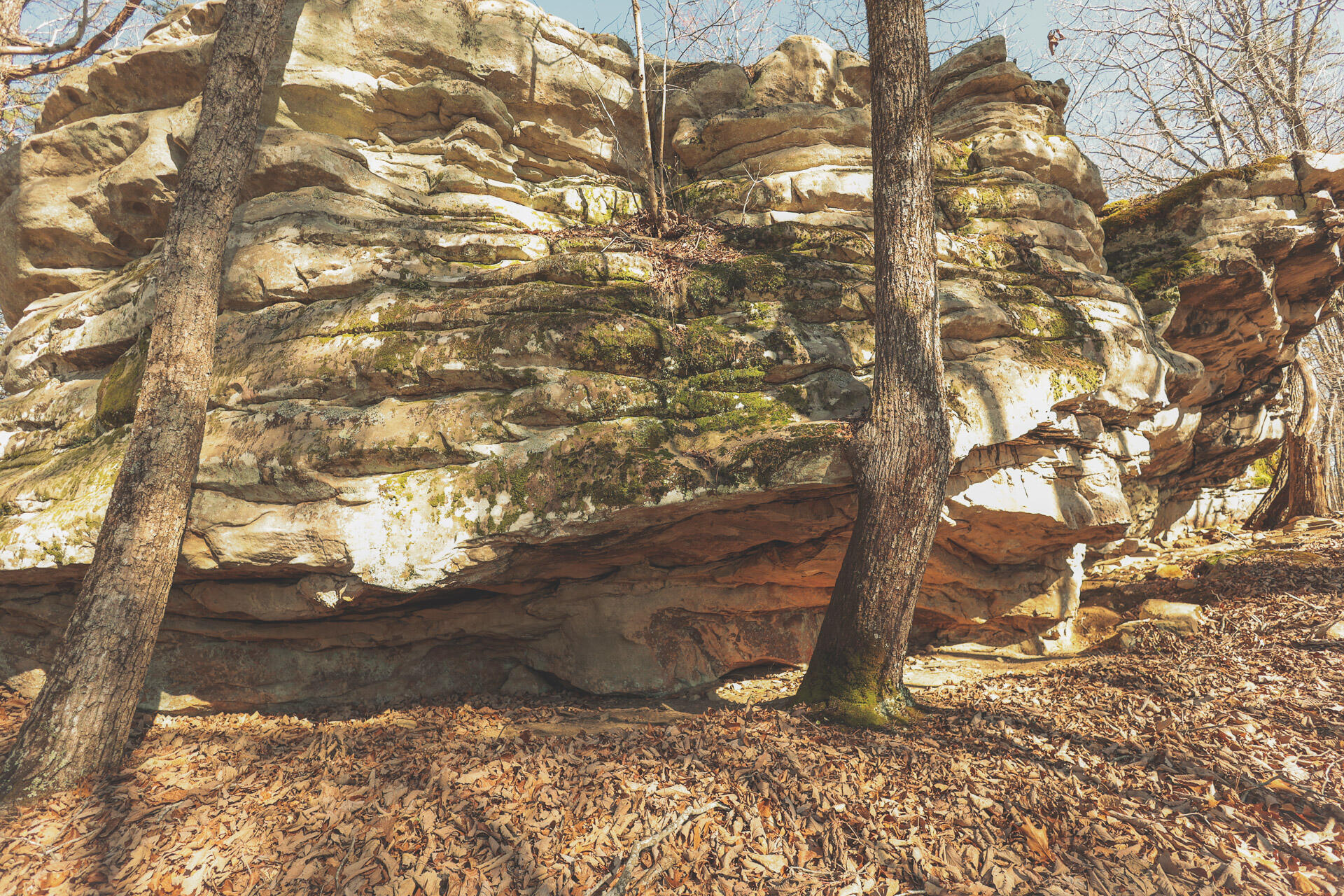 12733 Jones Gap Road Soddy Daisy, TN 37379 - Photo 74 of 108 Untitled-529