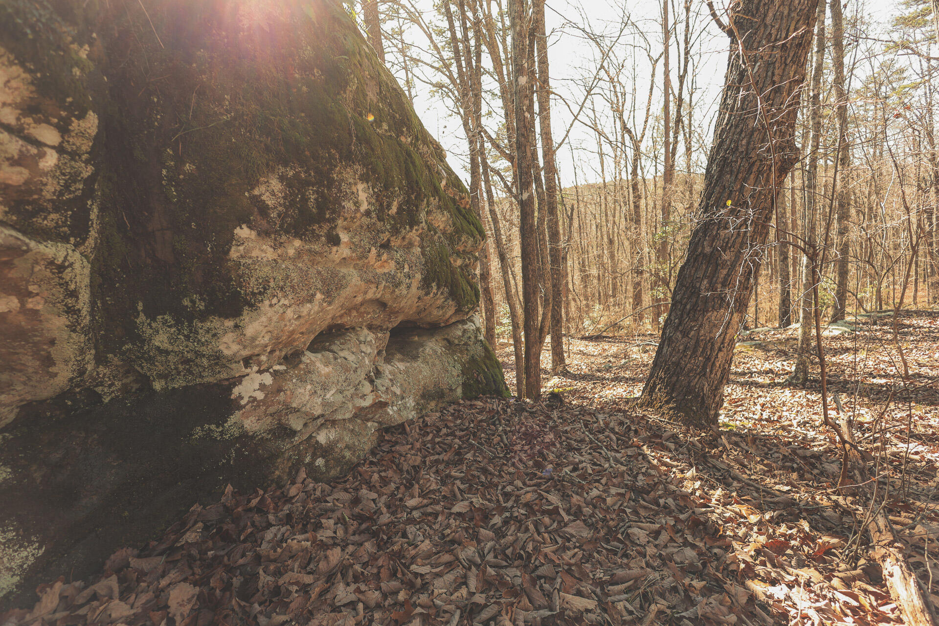 12733 Jones Gap Road Soddy Daisy, TN 37379 - Photo 76 of 108 Untitled-533