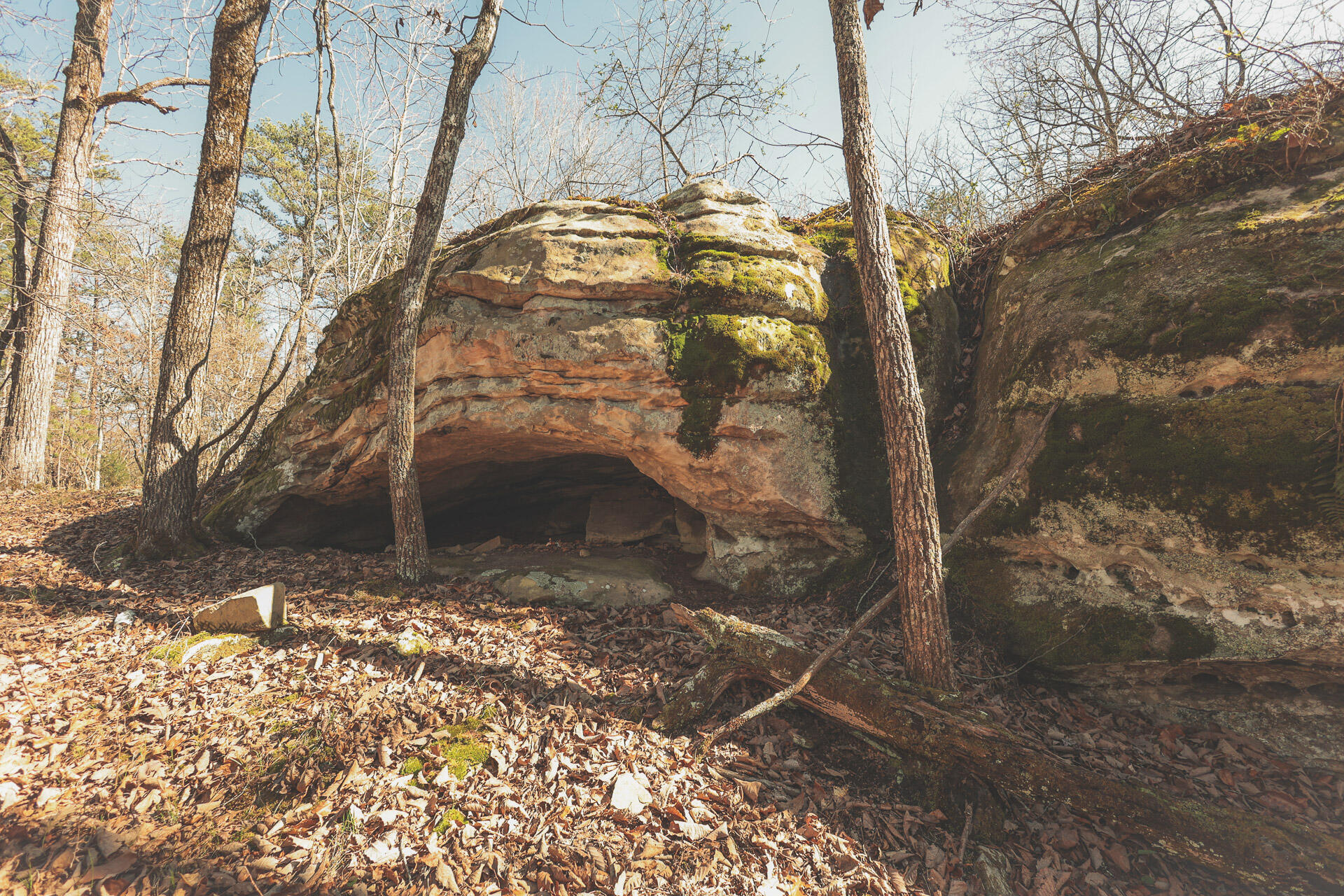12733 Jones Gap Road Soddy Daisy, TN 37379 - Photo 77 of 108 Untitled-534