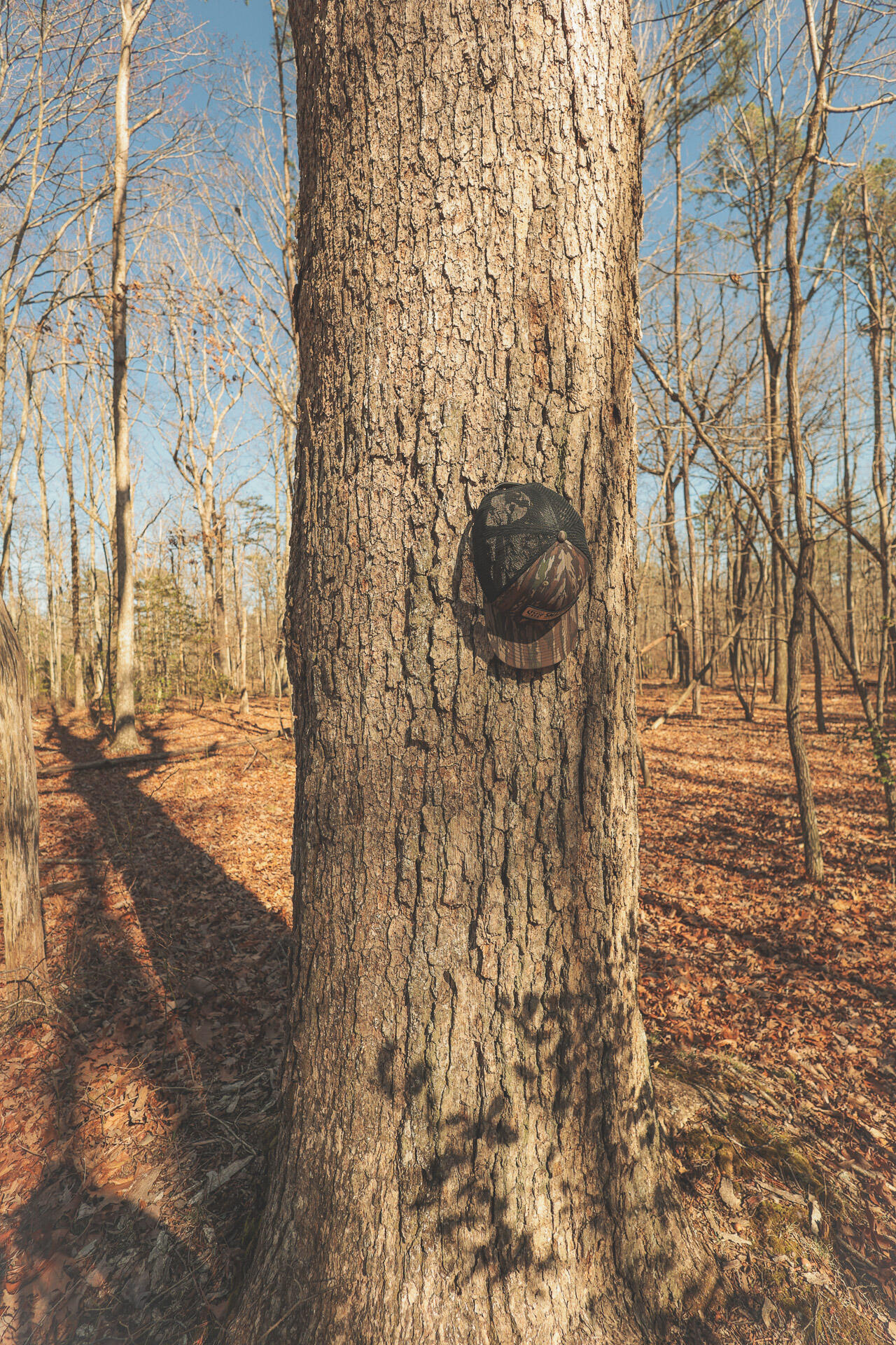 12733 Jones Gap Road Soddy Daisy, TN 37379 - Photo 78 of 108 Untitled-538