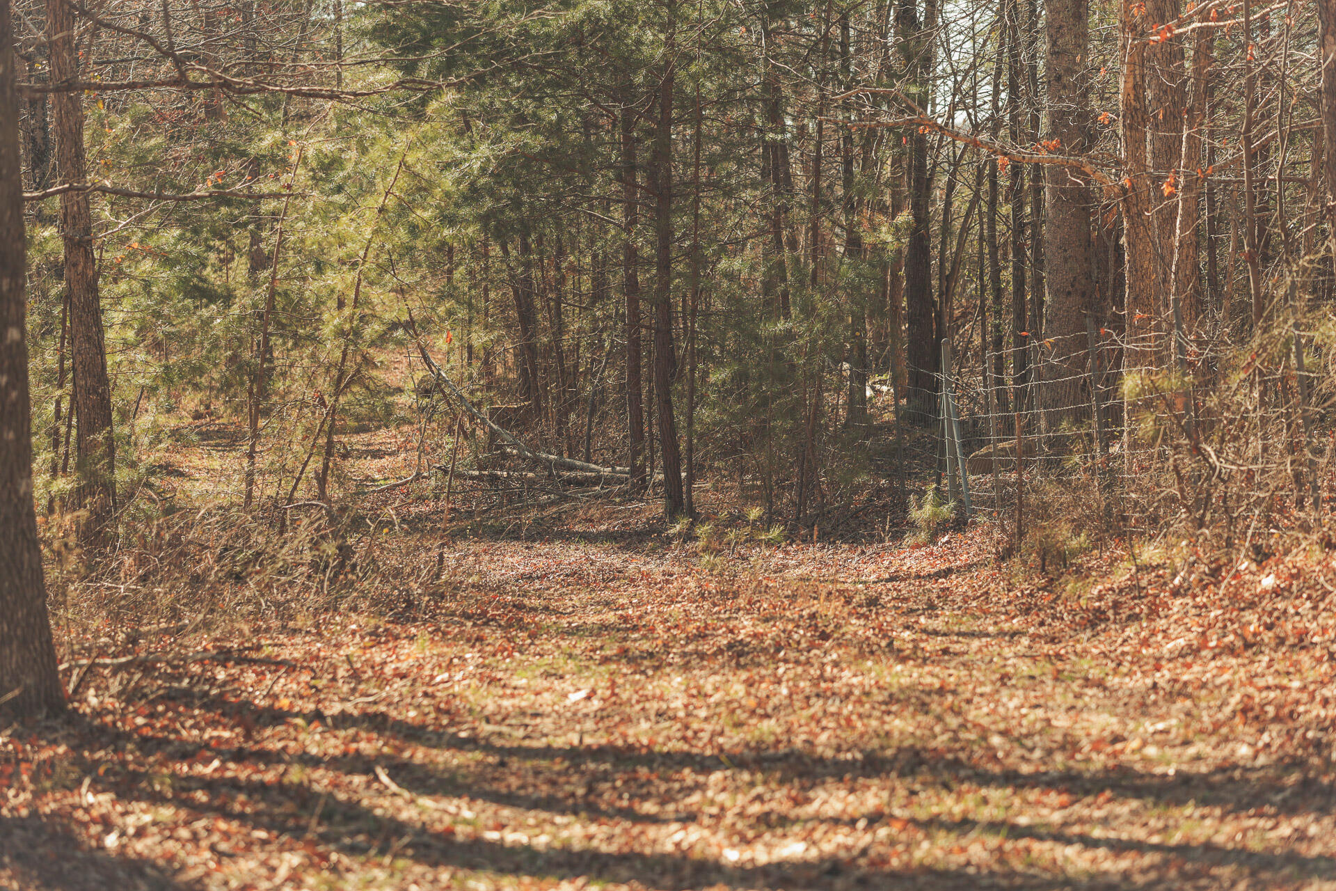 12733 Jones Gap Road Soddy Daisy, TN 37379 - Photo 81 of 108 Untitled-543