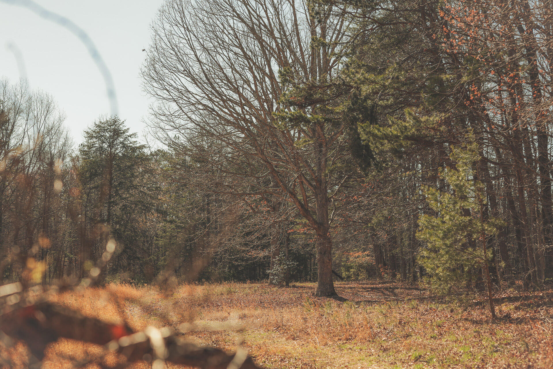 12733 Jones Gap Road Soddy Daisy, TN 37379 - Photo 86 of 108 Untitled-549