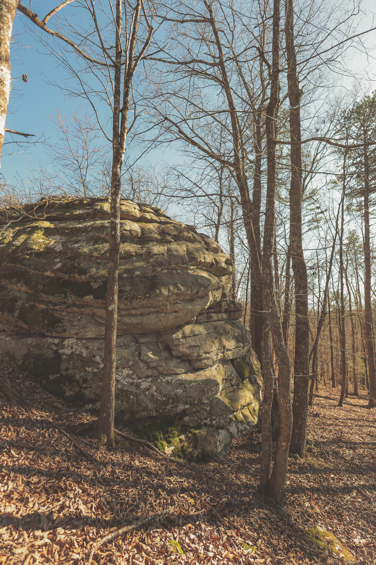 12733 Jones Gap Road Soddy Daisy, TN 37379 - Photo 9 of 108 7
