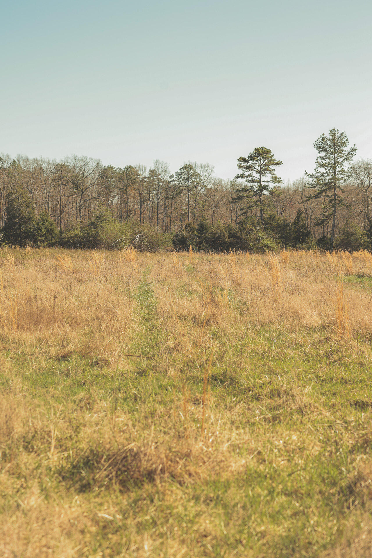 12733 Jones Gap Road Soddy Daisy, TN 37379 - Photo 92 of 108 Untitled-558