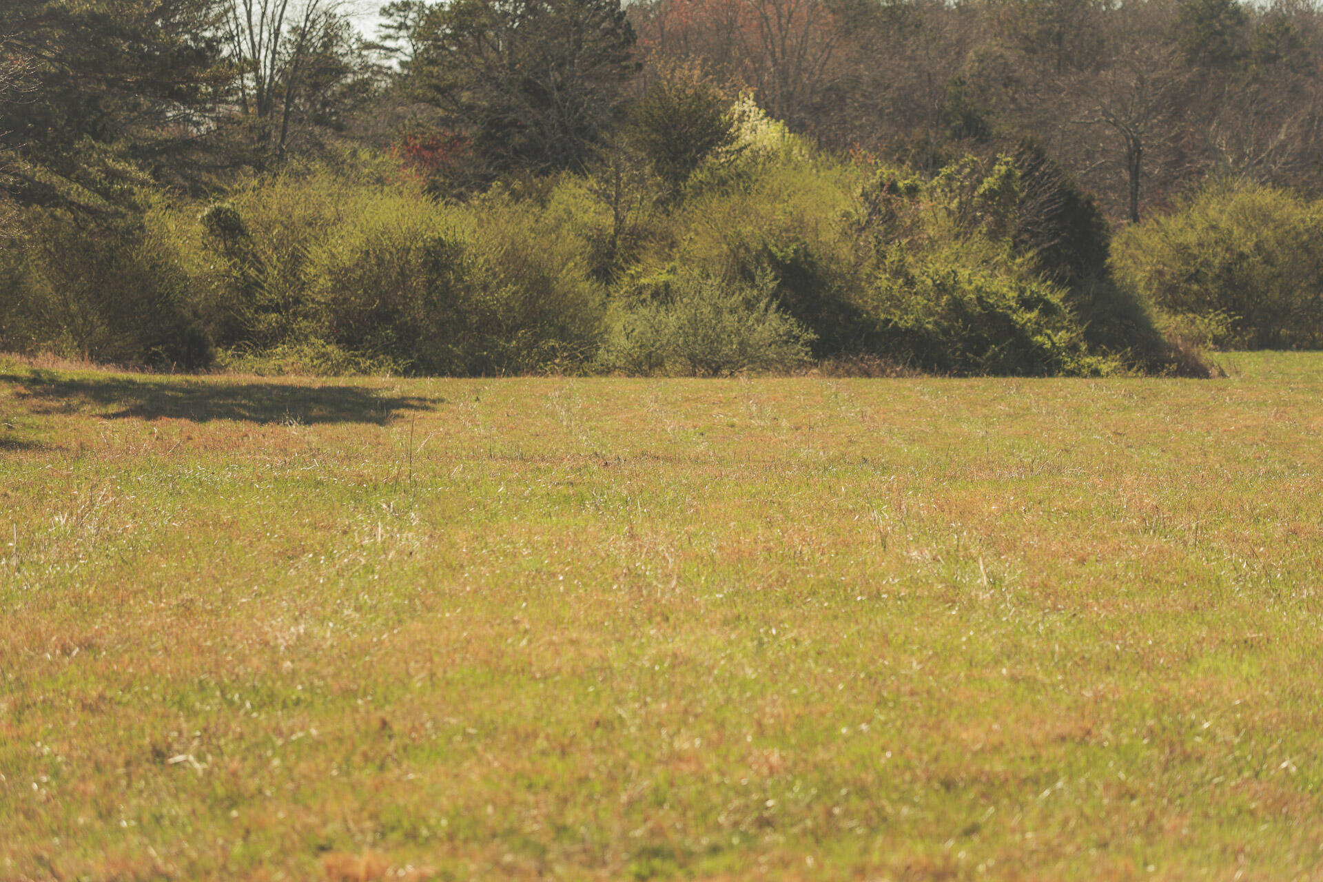 12733 Jones Gap Road Soddy Daisy, TN 37379 - Photo 96 of 108 Untitled-563