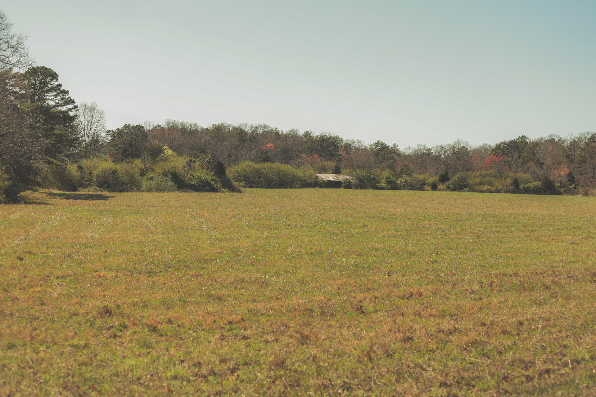 12733 Jones Gap Road Soddy Daisy, TN 37379 - Photo 97 of 108 Untitled-564