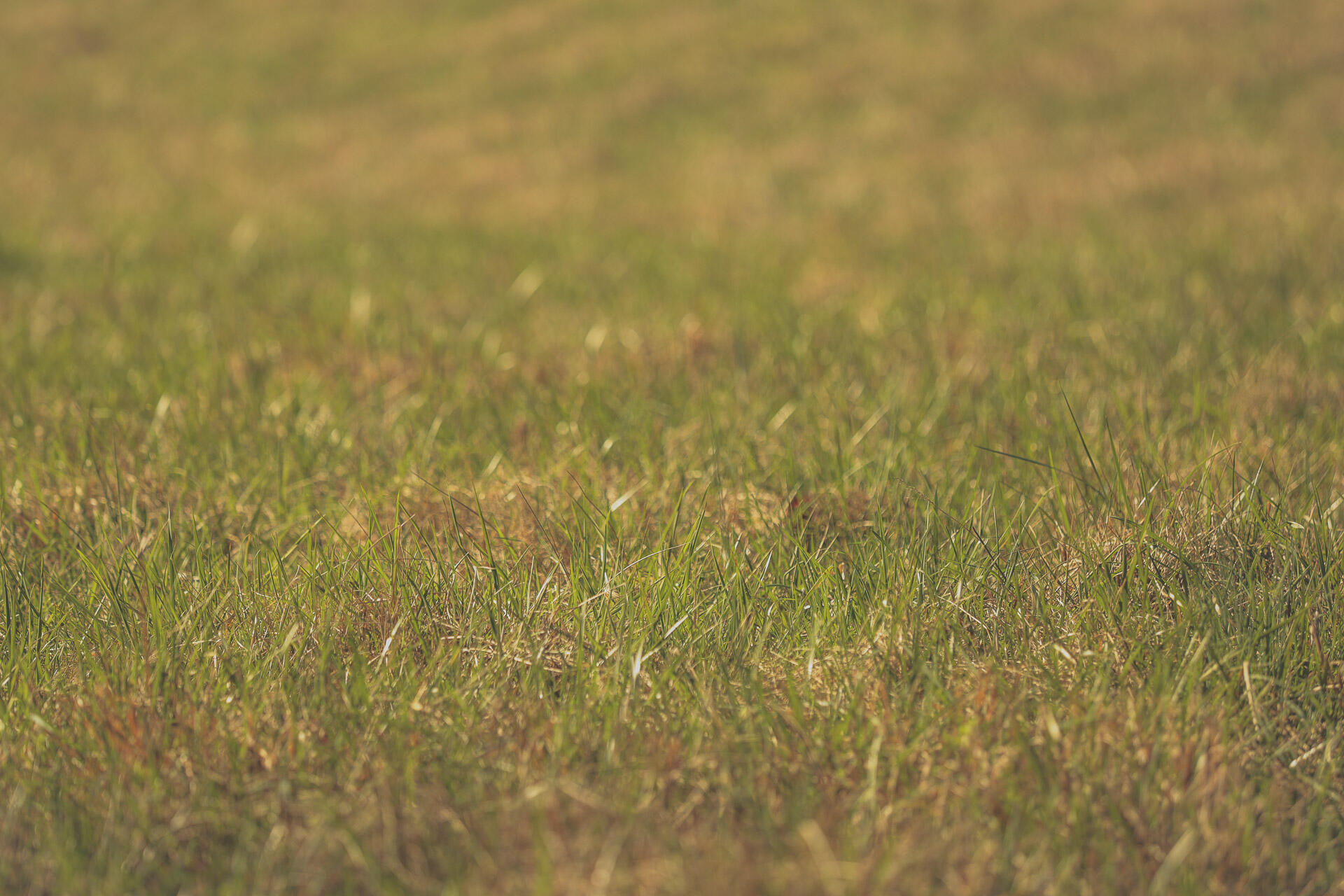 12733 Jones Gap Road Soddy Daisy, TN 37379 - Photo 98 of 108 Untitled-566