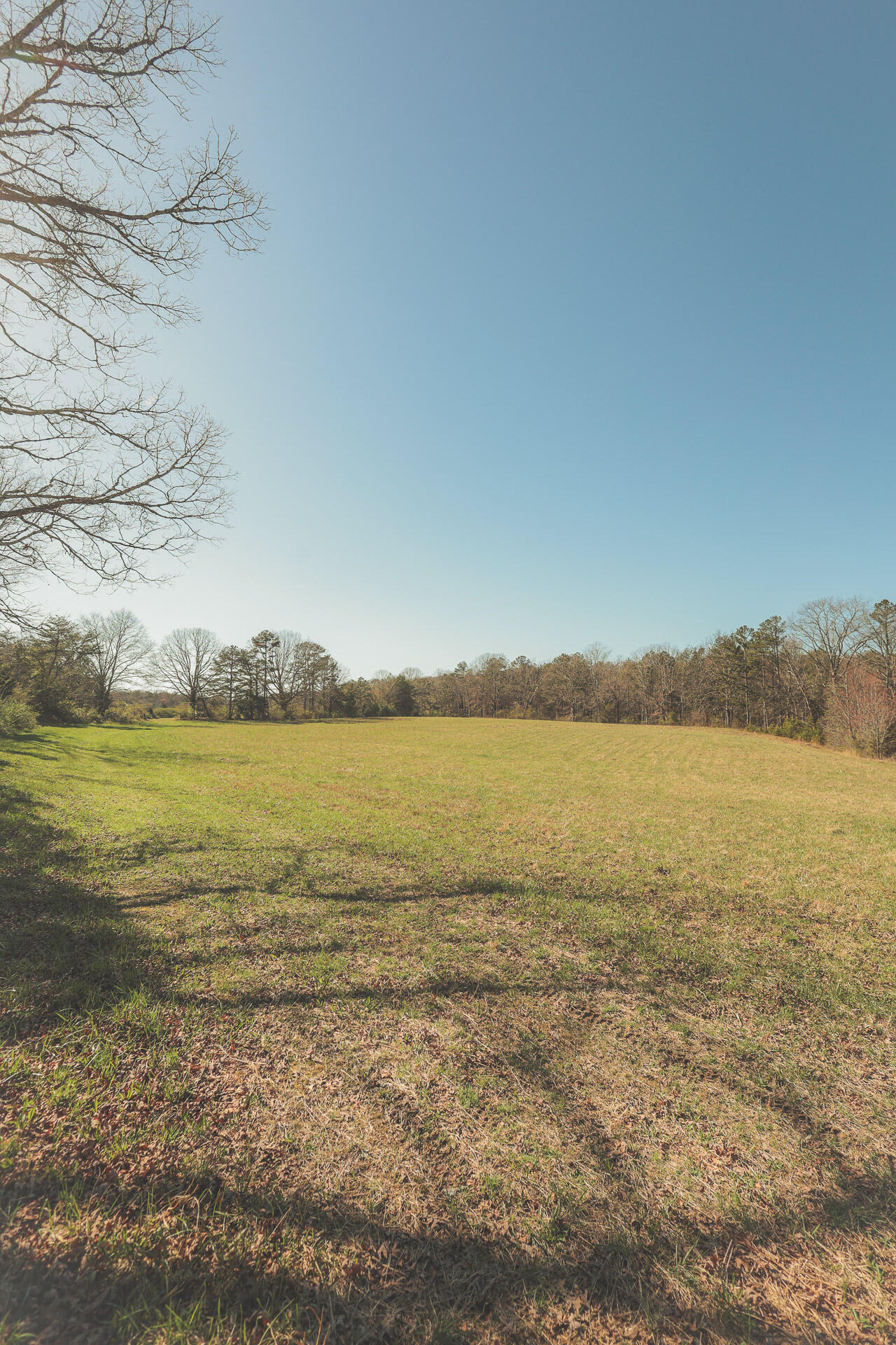 12733 Jones Gap Road Soddy Daisy, TN 37379 - Photo 100 of 108 Untitled-568