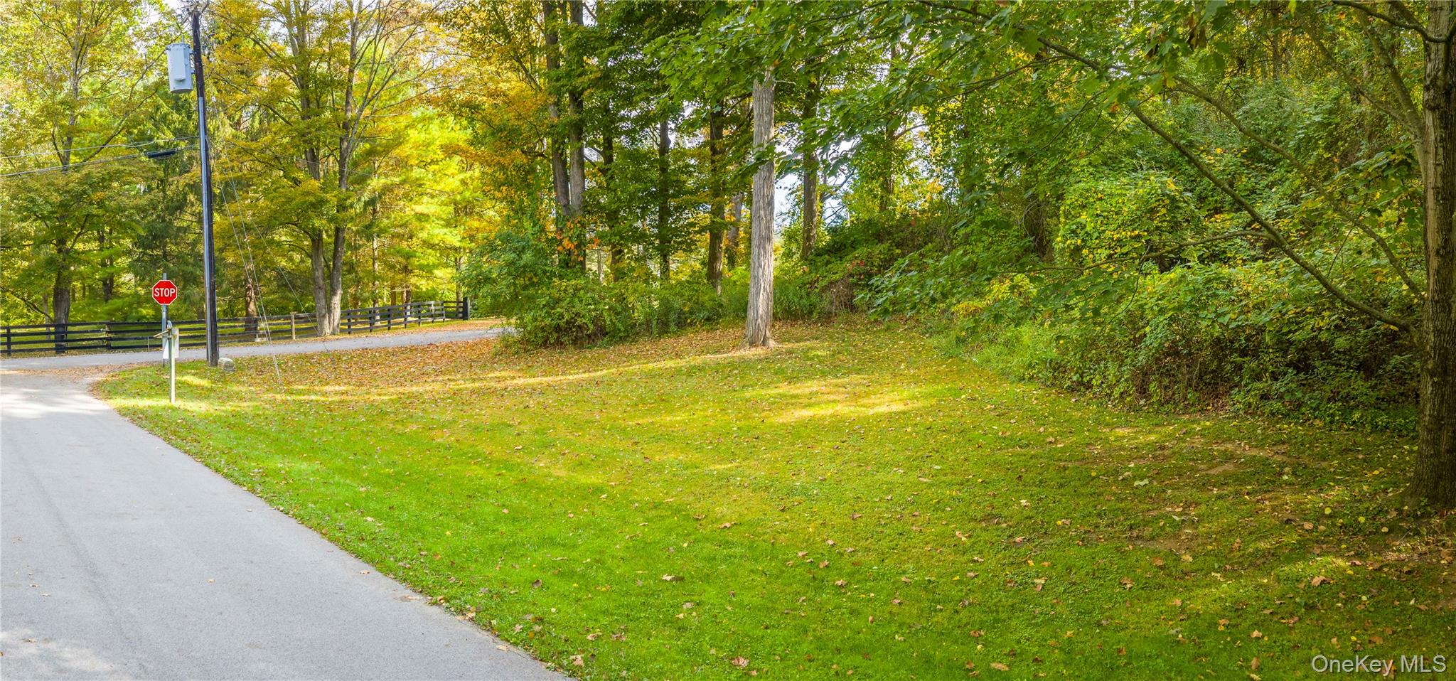 Lot 25 Brady Brook Farm Road Pawling, NY 12564 - Photo 11 of 11 a view of an outdoor space and swimming pool