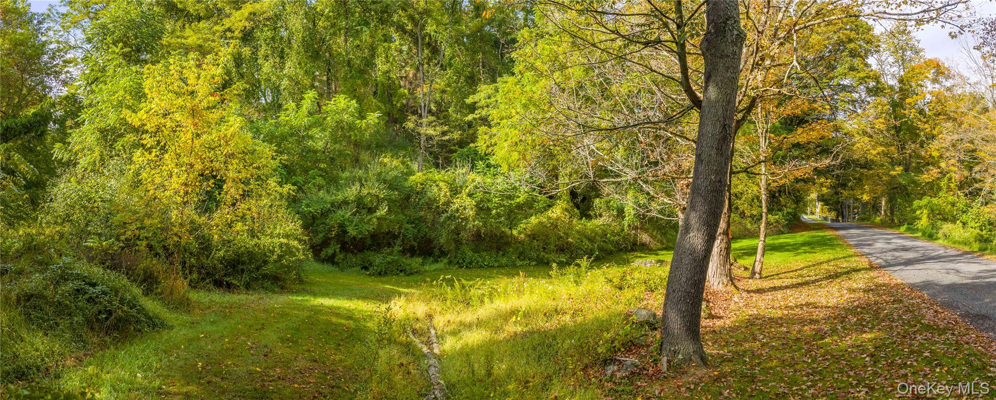 Lot 25 Brady Brook Farm Road Pawling, NY 12564 - Photo 3 of 11 a view of yard